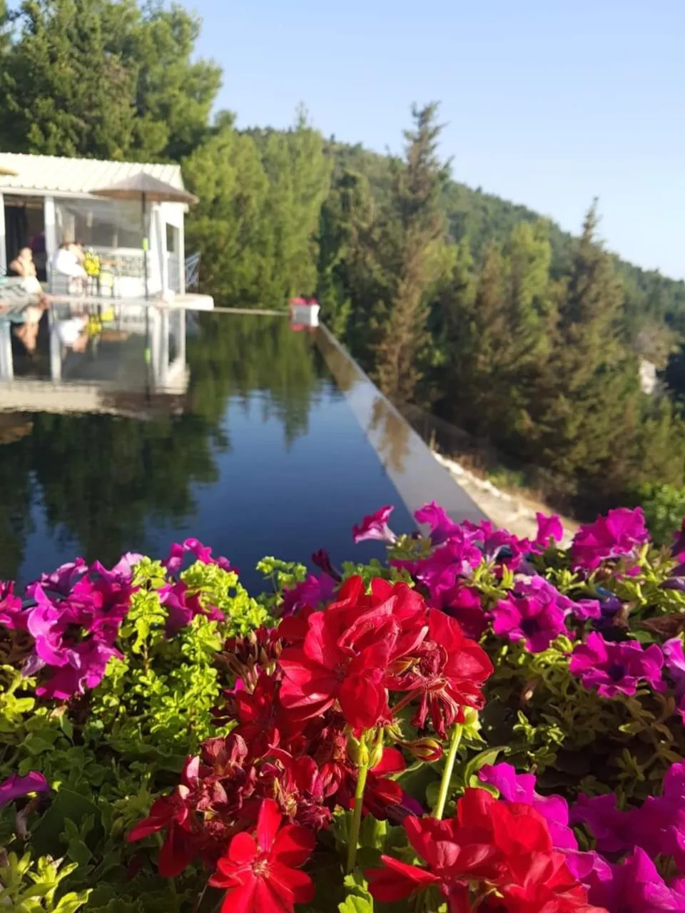 Spring in Serenity Boutique Suites