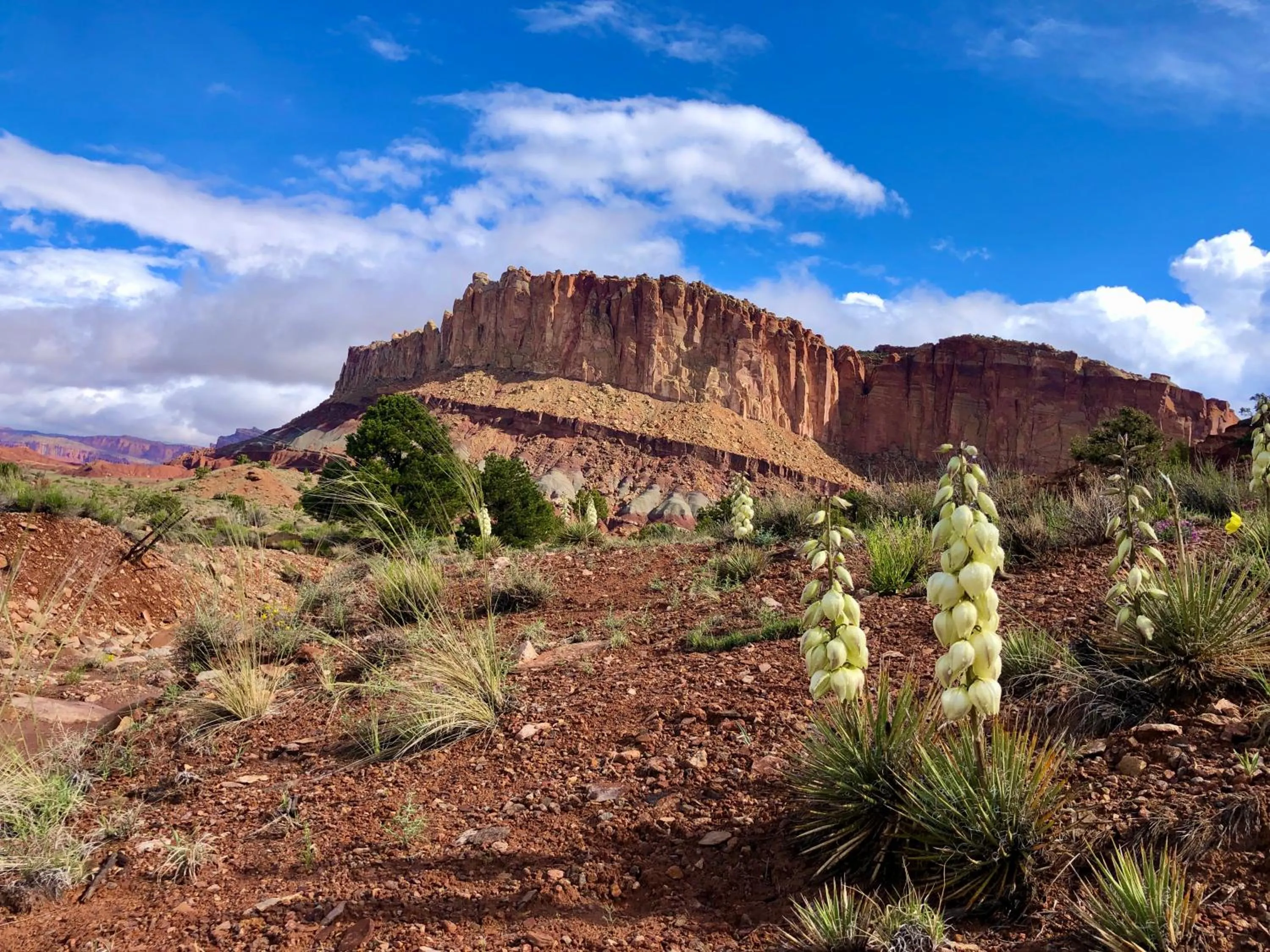 Natural landscape in SkyRidge Inn