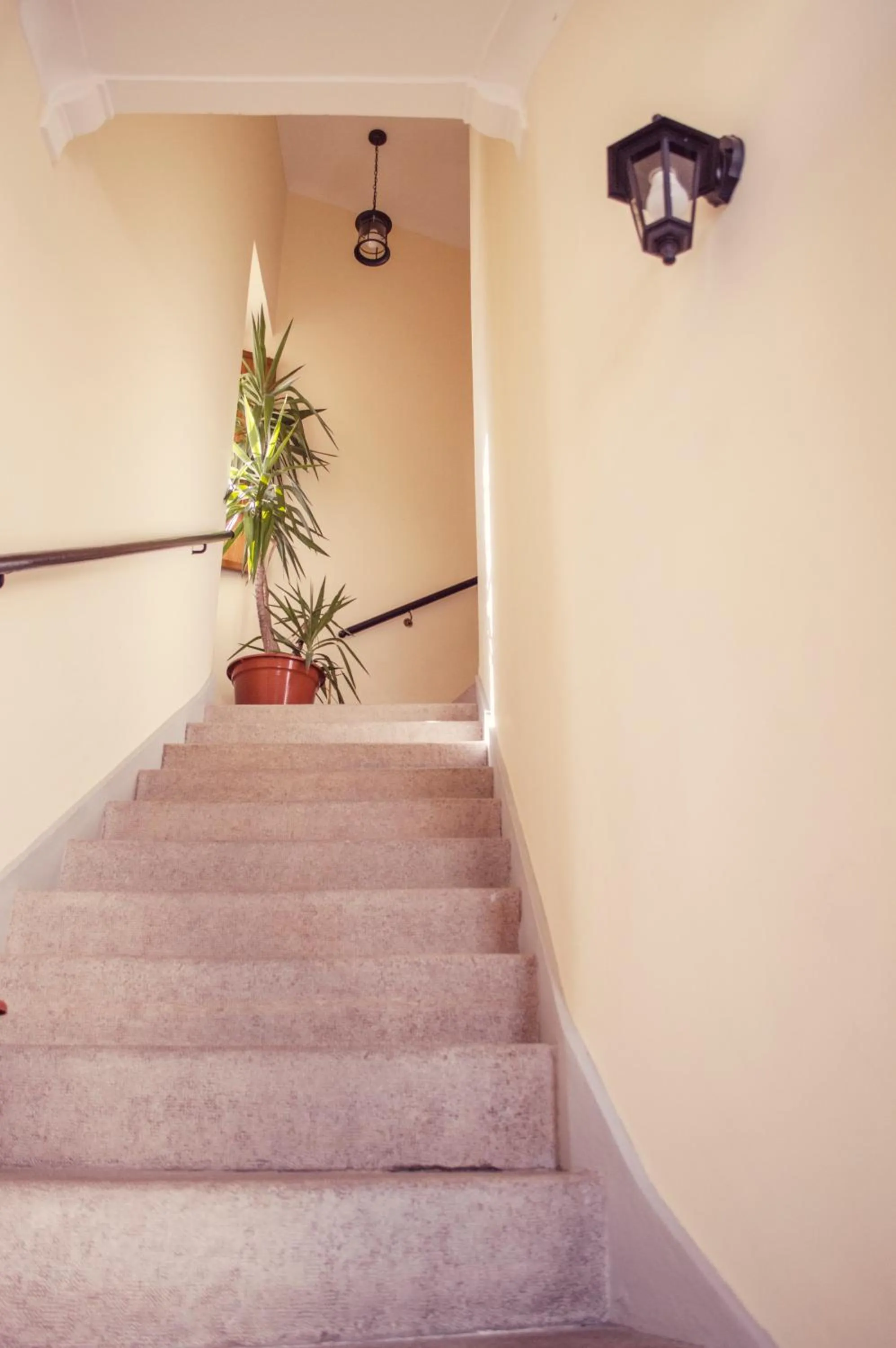 Area and facilities in Sunlight House