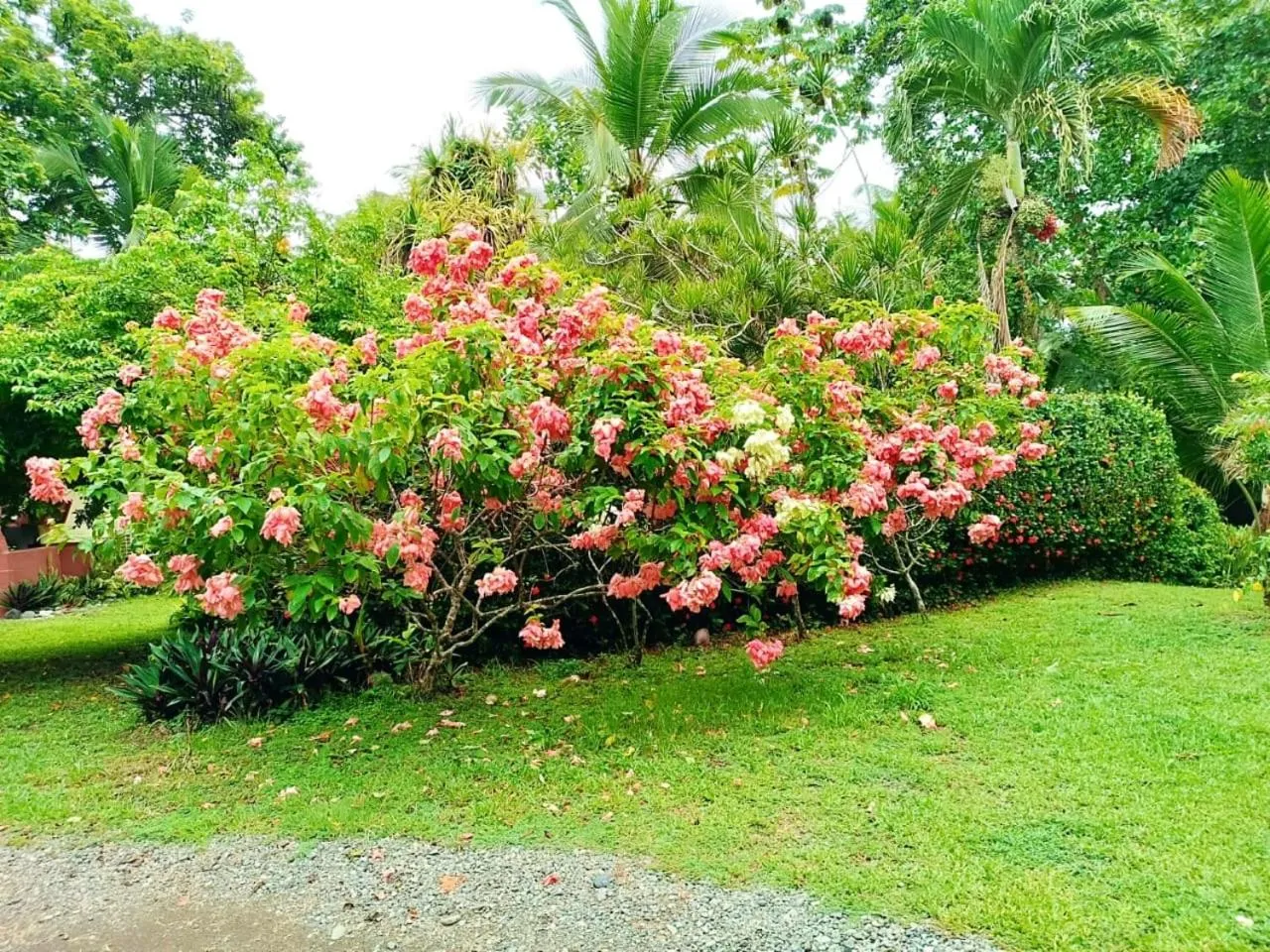 La Diosa Nature Lodge