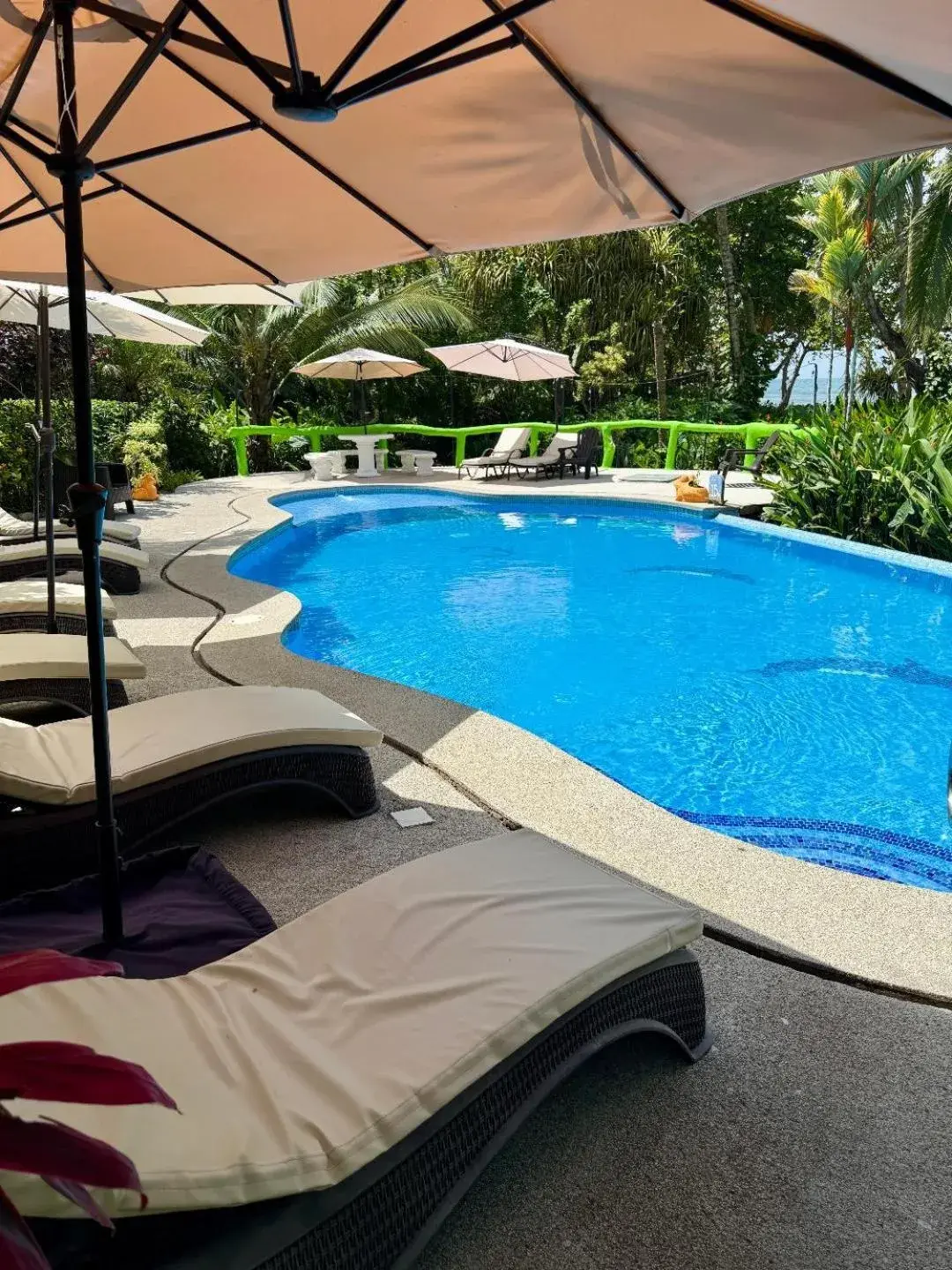 La Diosa Nature Lodge La Diosa Nature Lodge