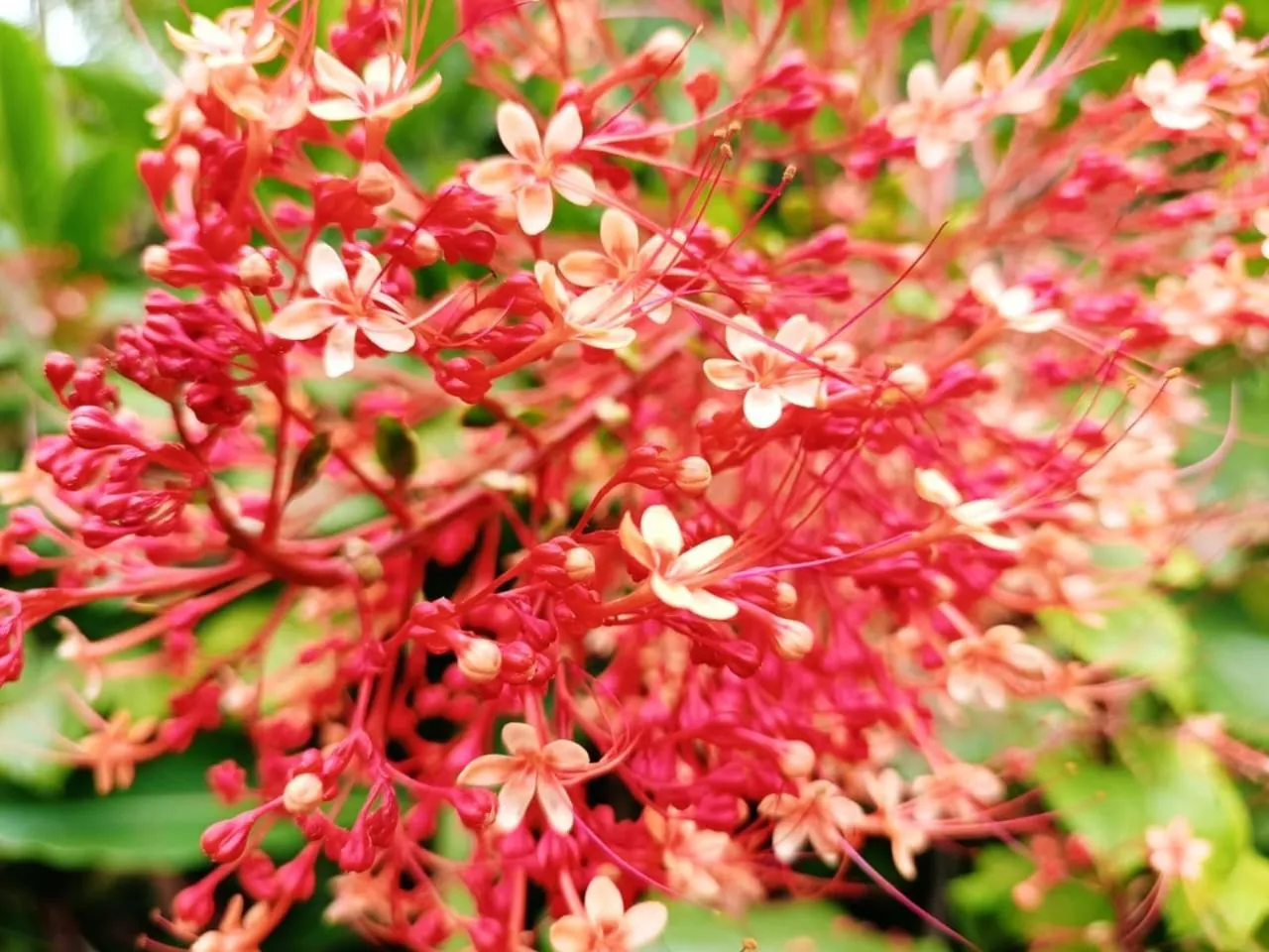 La Diosa Nature Lodge