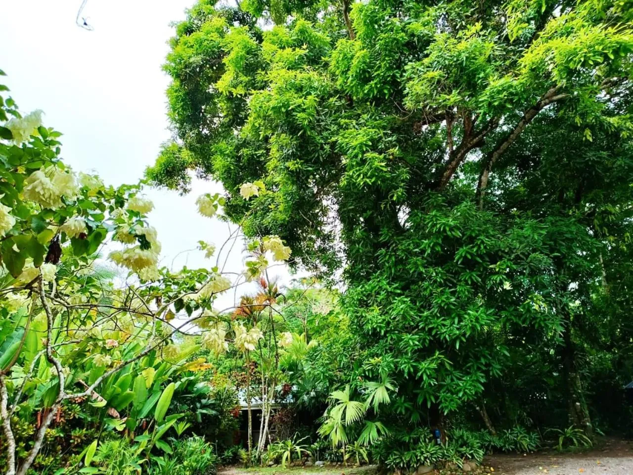 La Diosa Nature Lodge