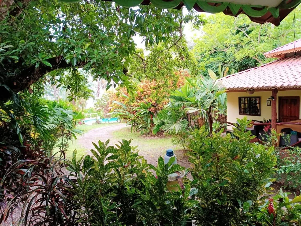 Pool view in La Diosa Nature Lodge