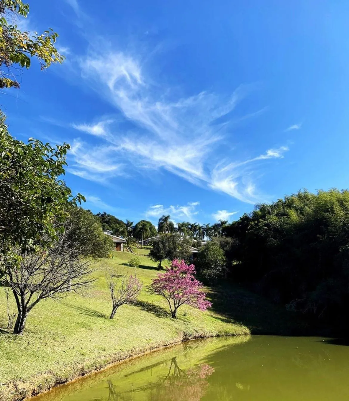 Paraty Hotel Fazenda & Spa