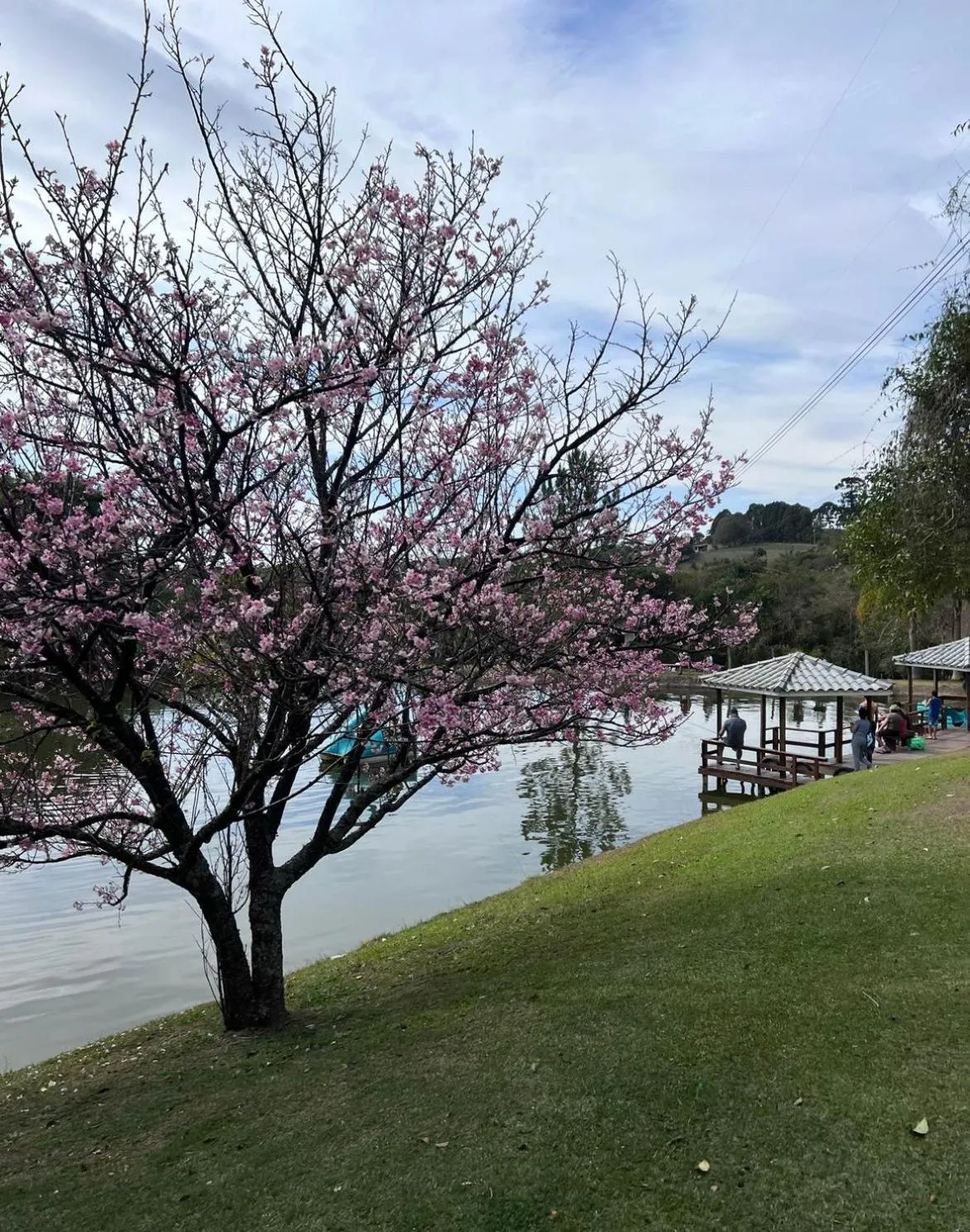 Paraty Hotel Fazenda & Spa