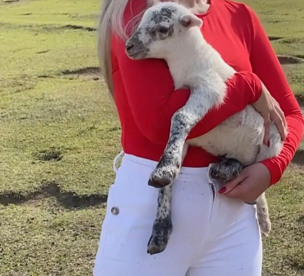 Paraty Hotel Fazenda & Spa