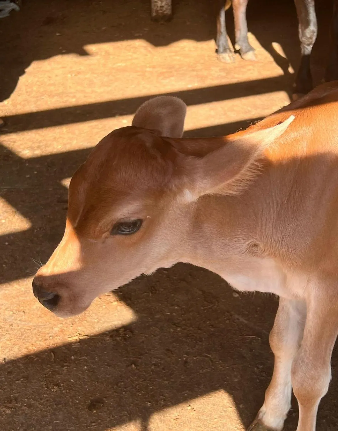 Paraty Hotel Fazenda & Spa