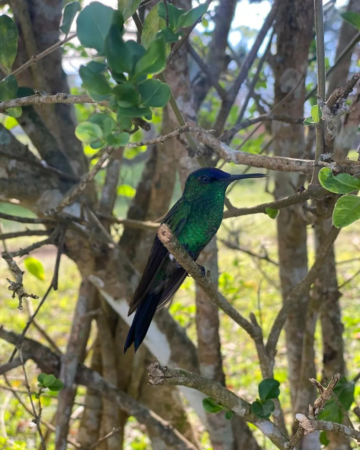 Paraty Hotel Fazenda & Spa