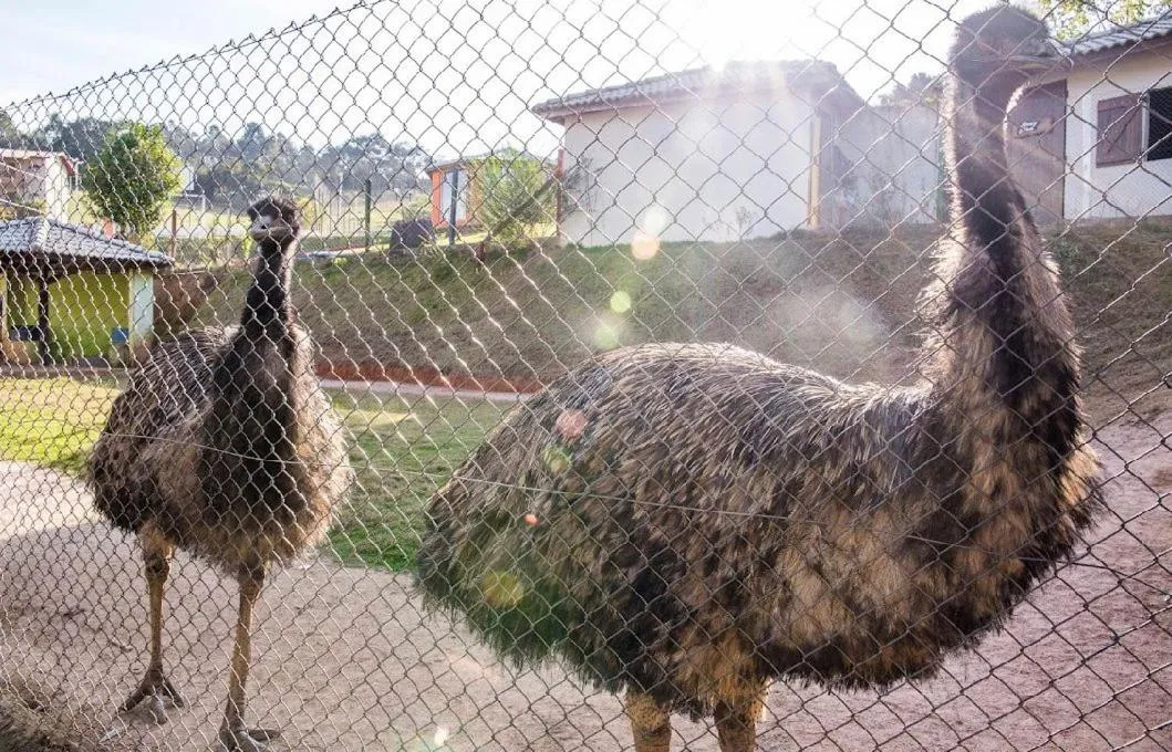 Paraty Hotel Fazenda & Spa