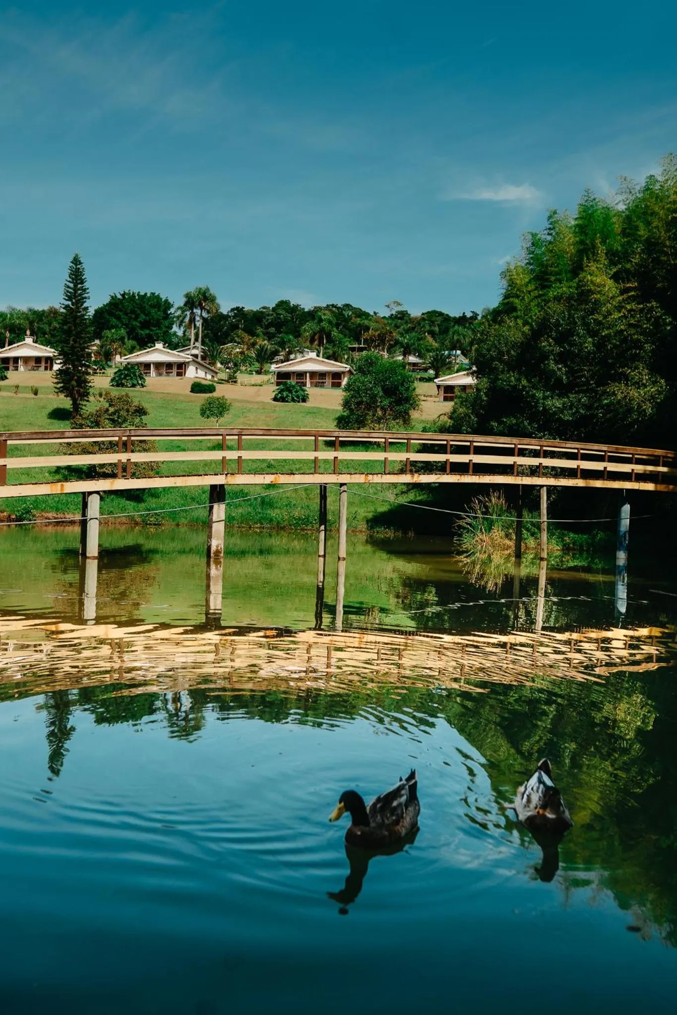 Paraty Hotel Fazenda & Spa