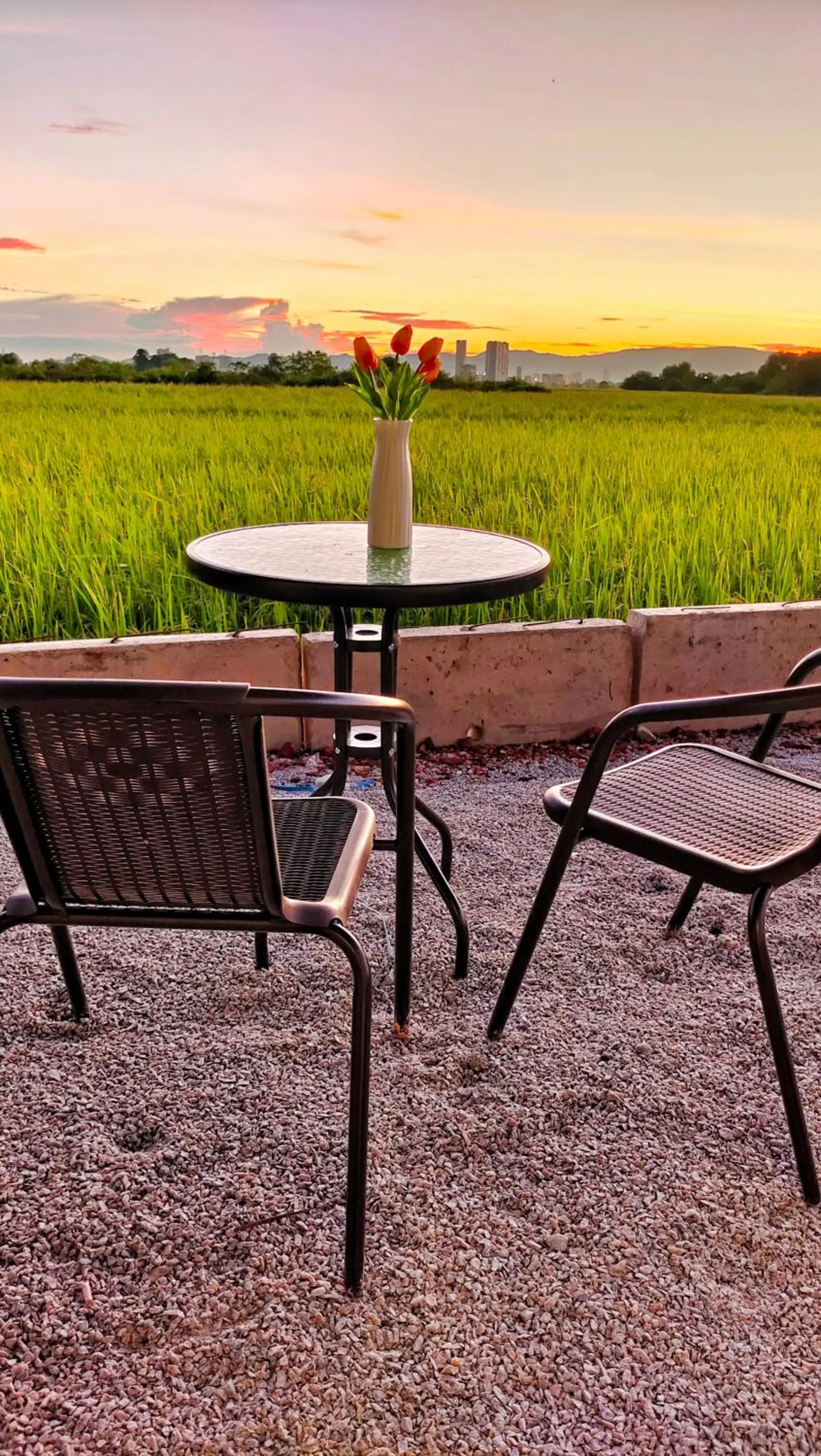 Patio in Paddy Villea Inn SPT Penang