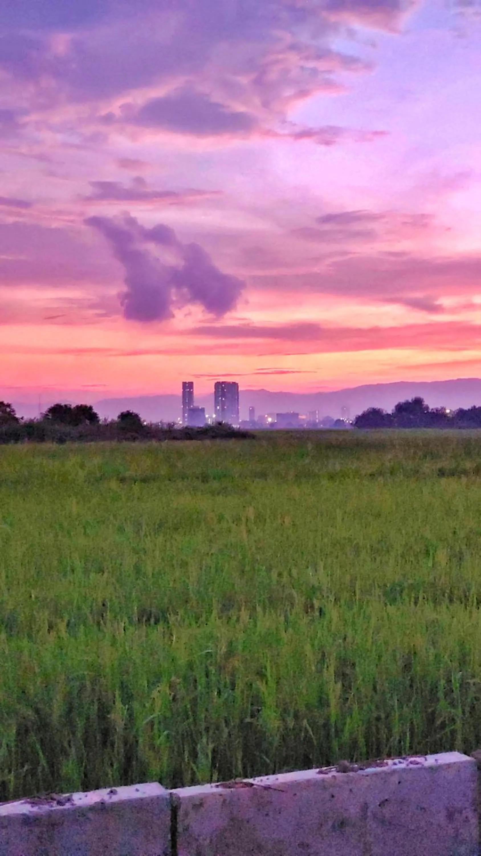 Sunset in Paddy Villea Inn SPT Penang