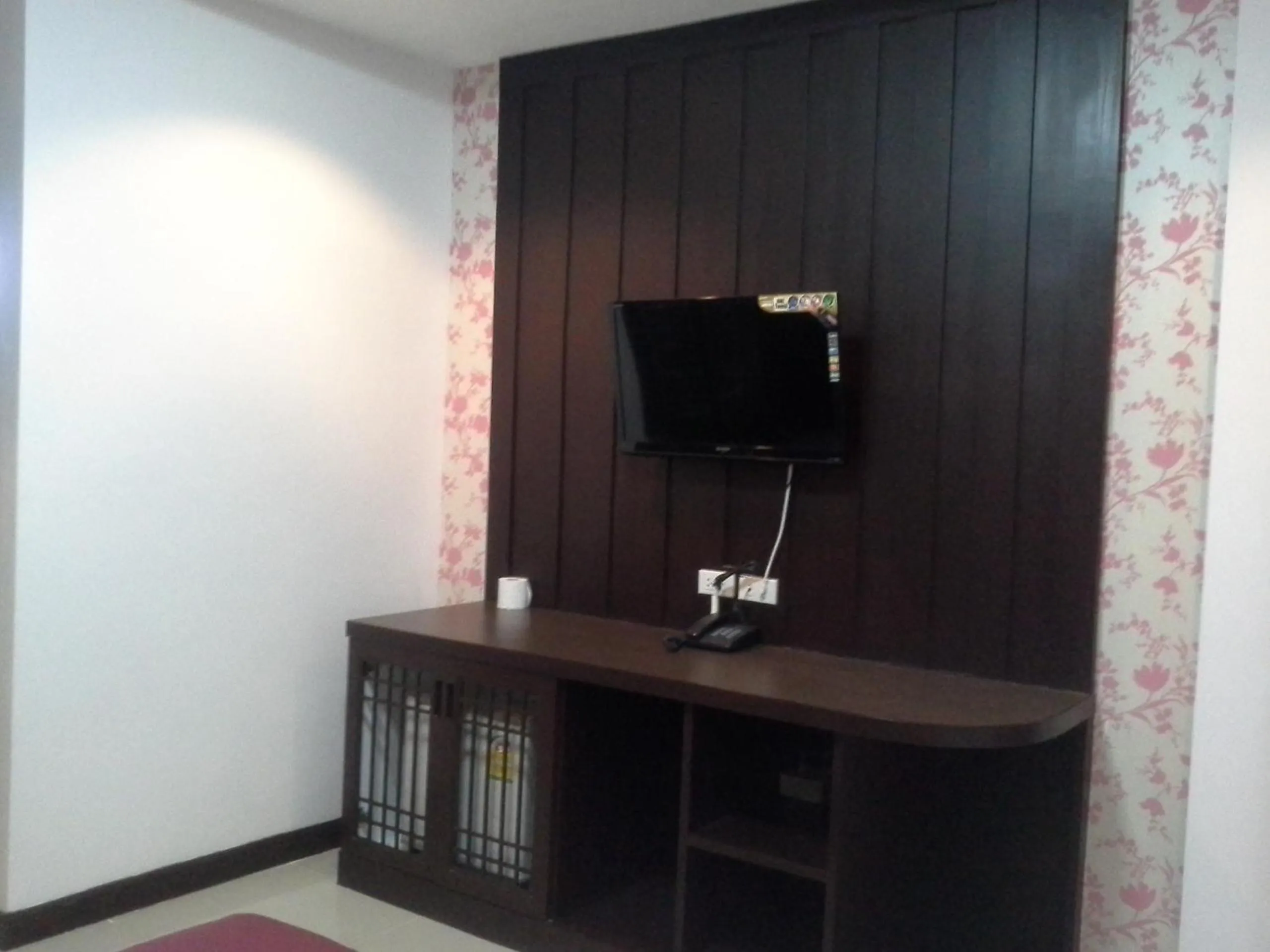 TV and multimedia in Tokyo Country Inn