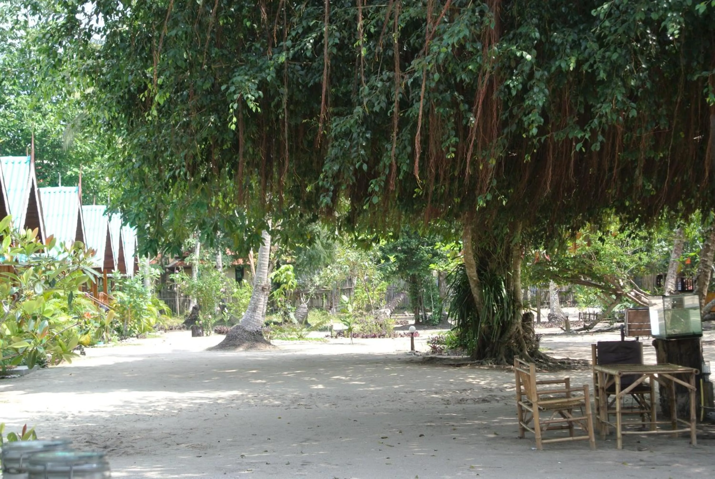 Garden in Bangbaobeach Resort