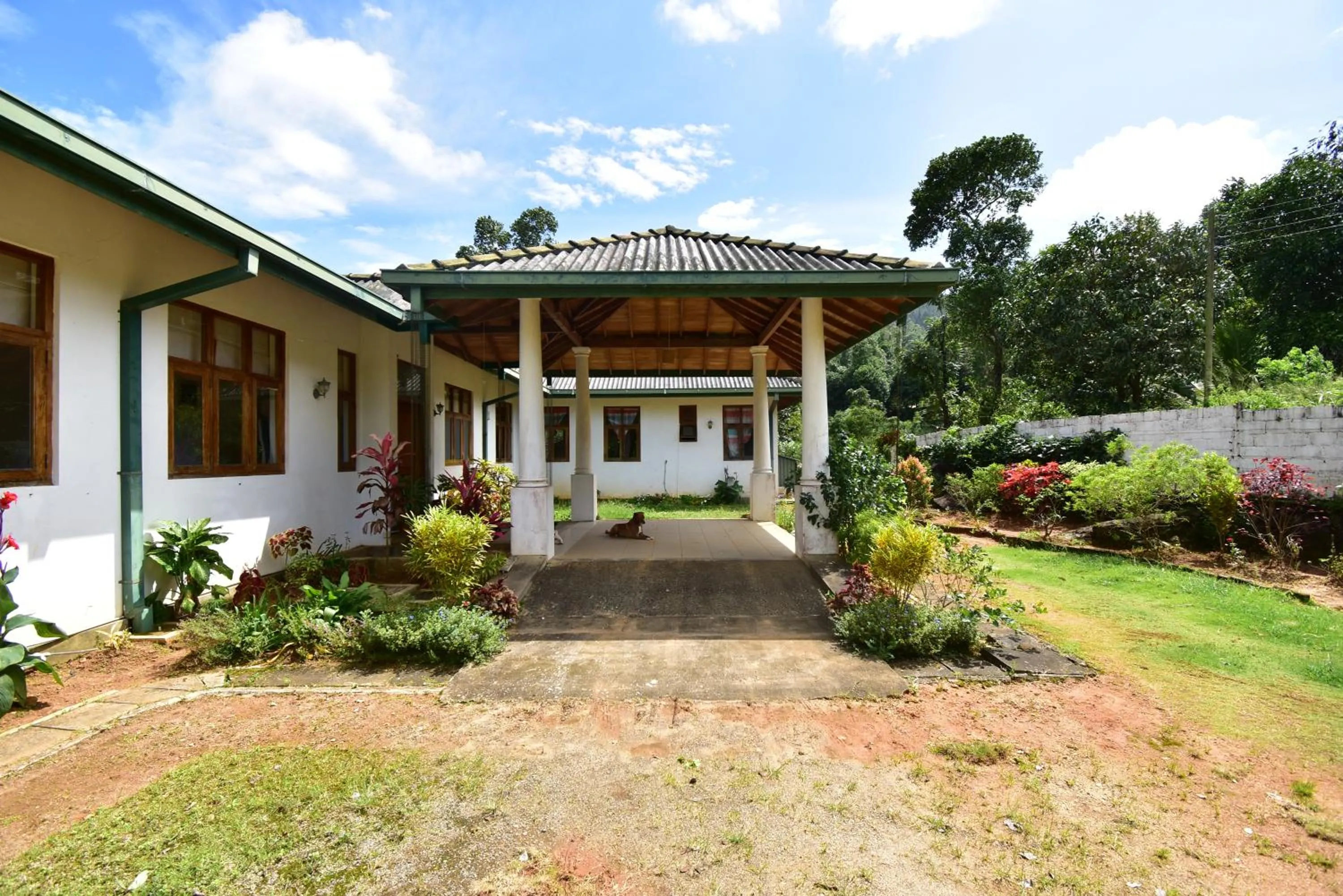 Property building in Jungle Tide