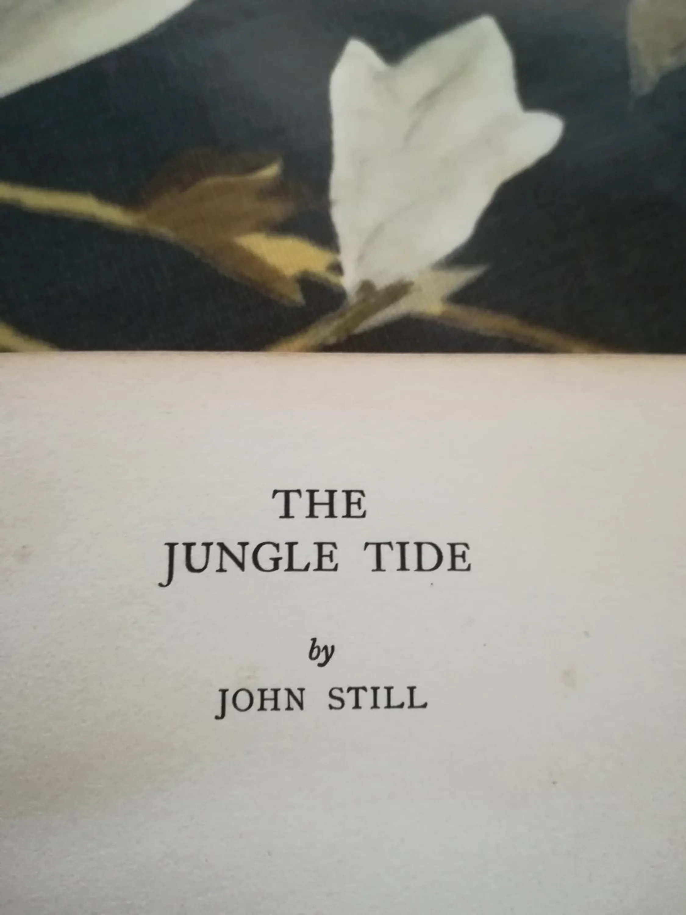 Logo/Certificate/Sign in Jungle Tide