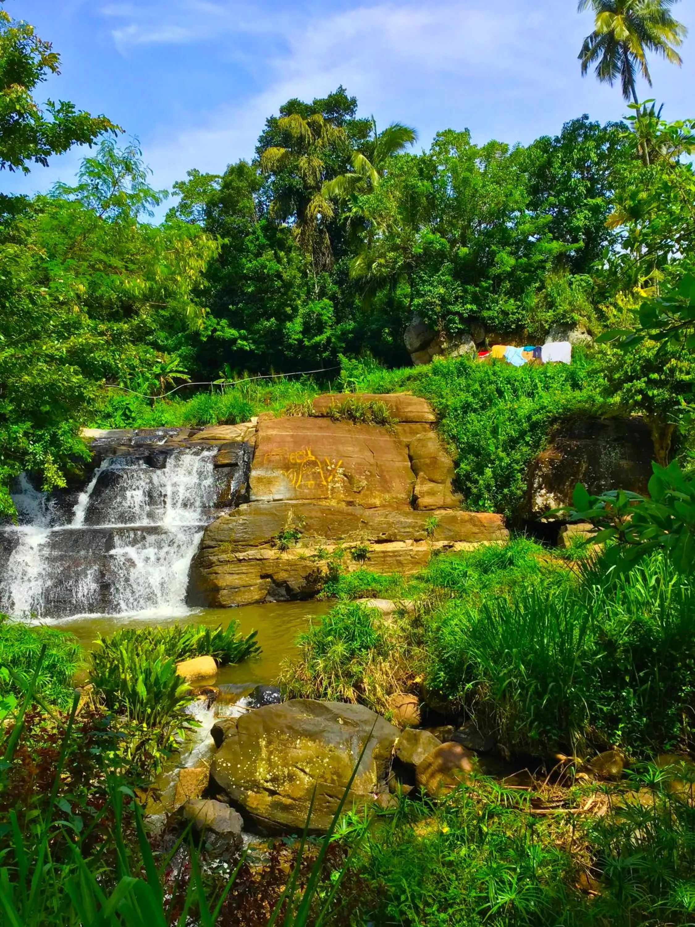 Neighbourhood in Jungle Tide