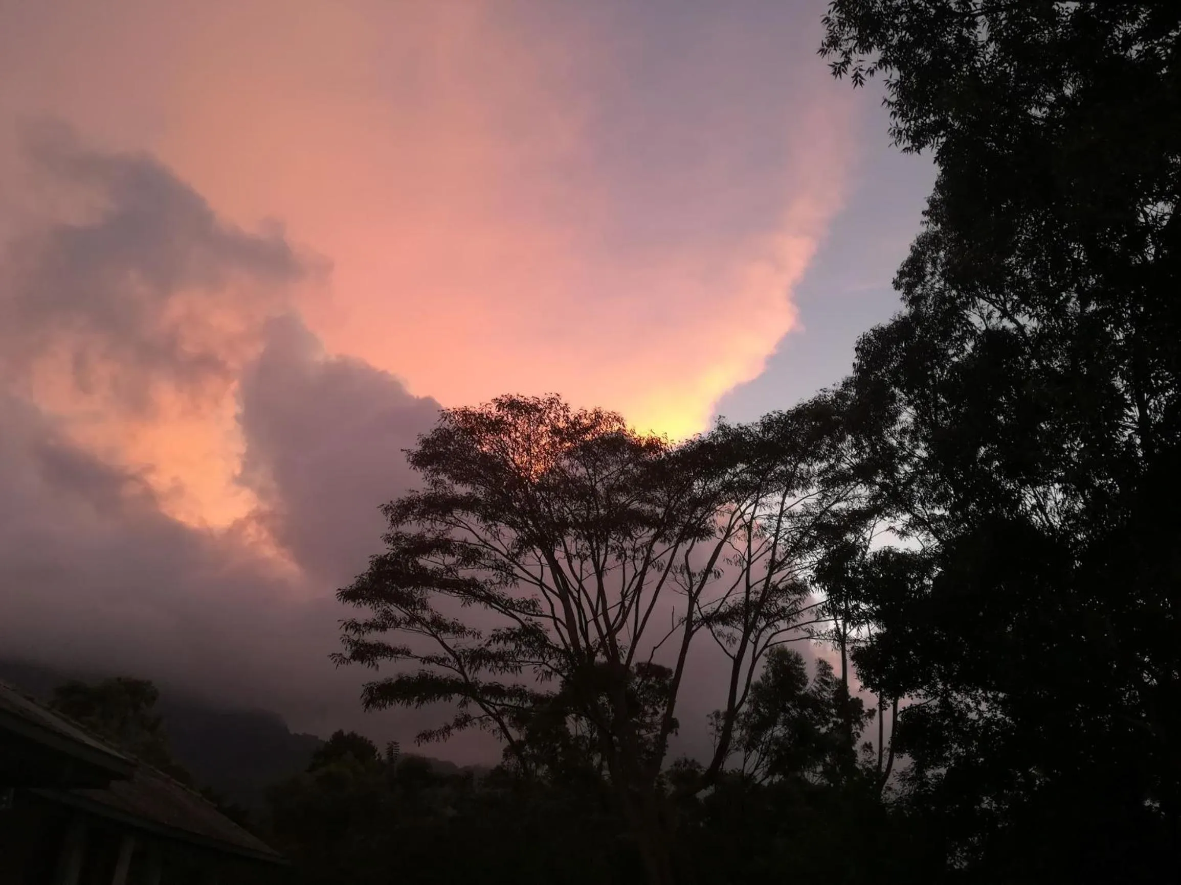 View (from property/room) in Jungle Tide