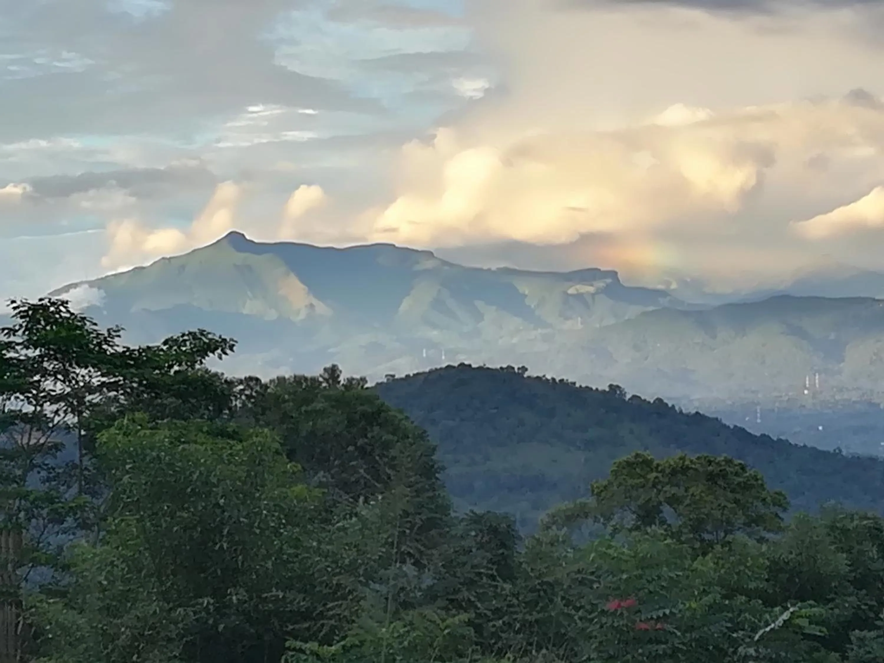 View (from property/room) in Jungle Tide