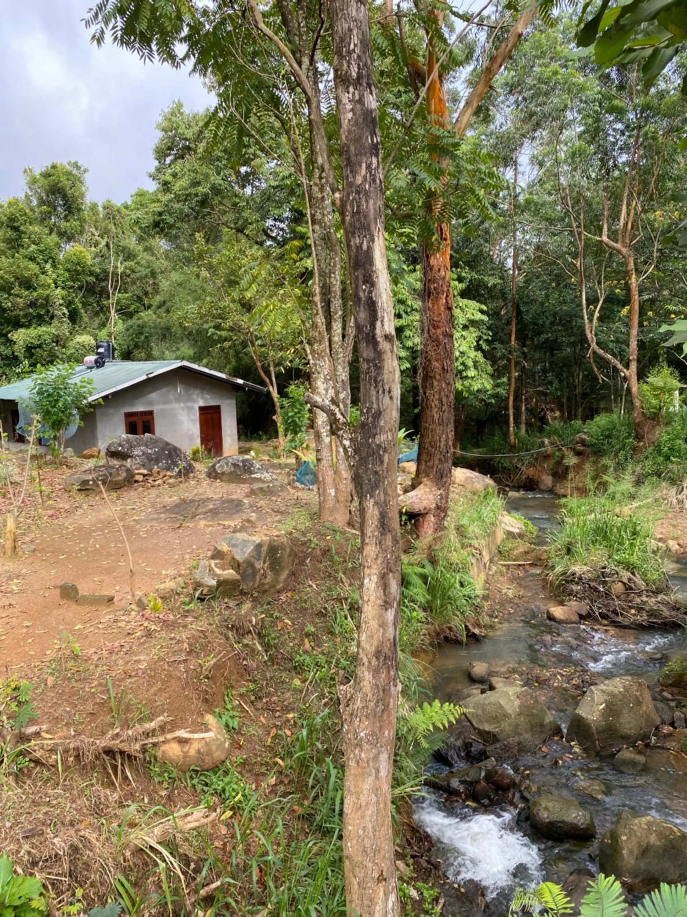 Property building in Jungle Tide