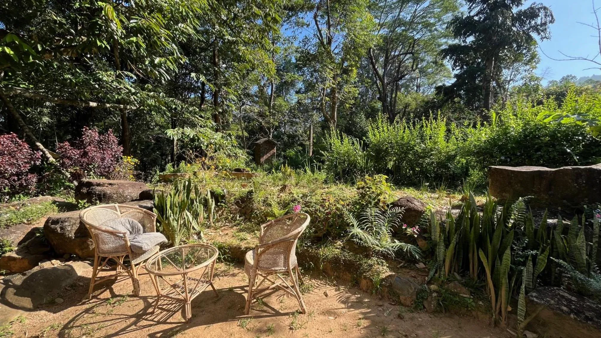 Garden in Jungle Tide