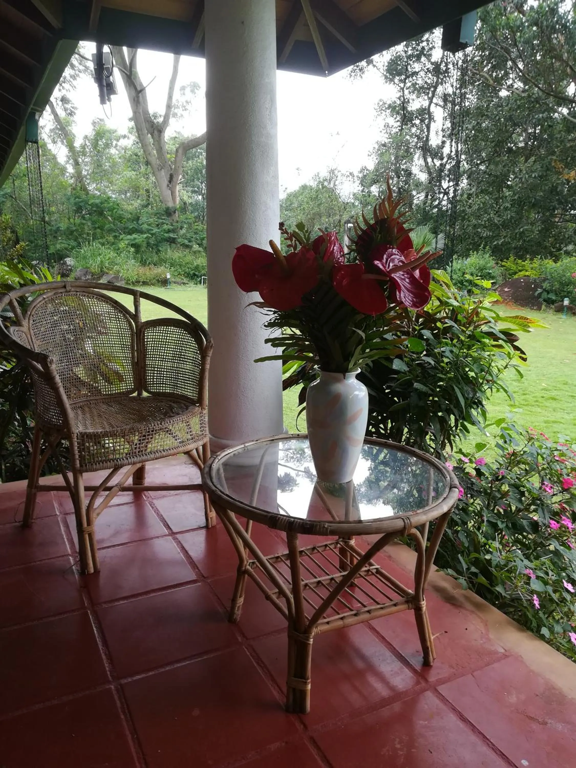 Balcony/Terrace in Jungle Tide