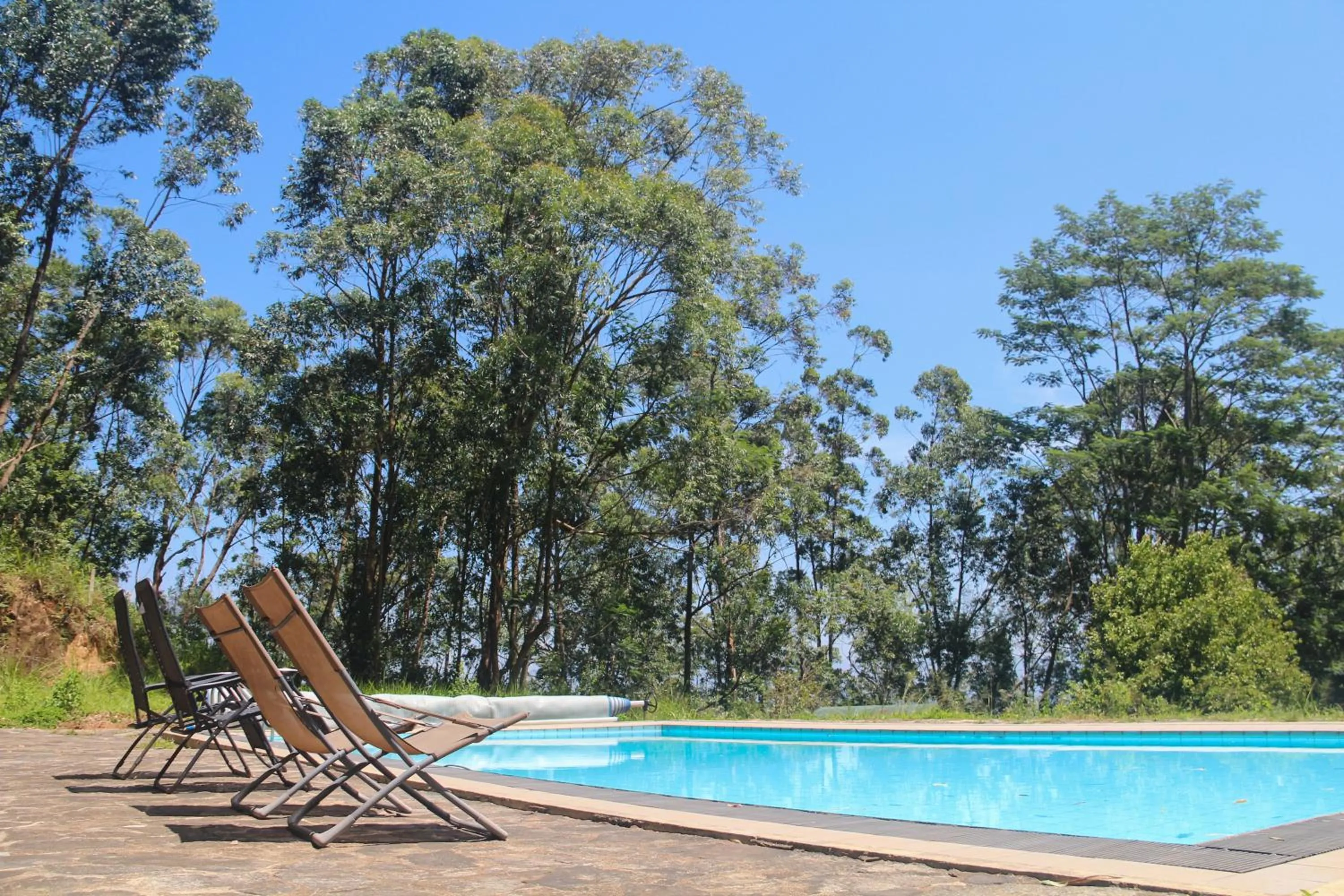 Swimming pool in Jungle Tide