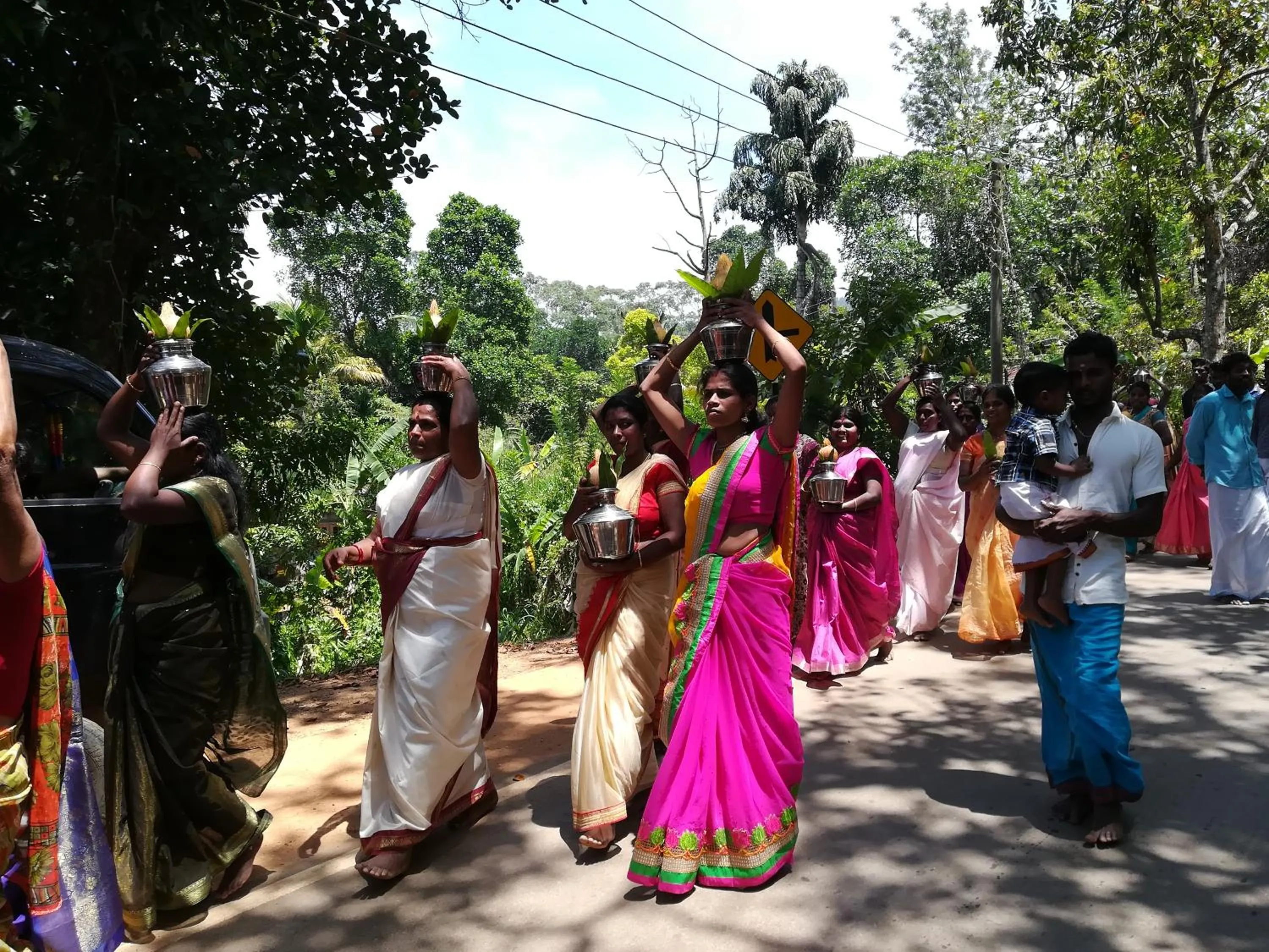 Neighbourhood in Jungle Tide