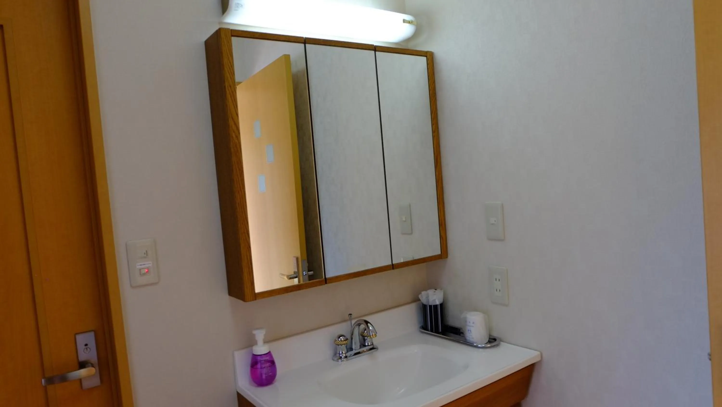 Area and facilities in Villa Ensoleille