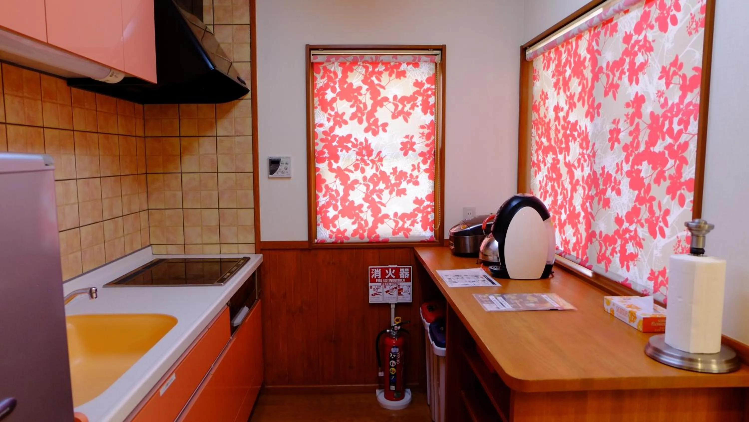 Kitchen or kitchenette in Villa Ensoleille