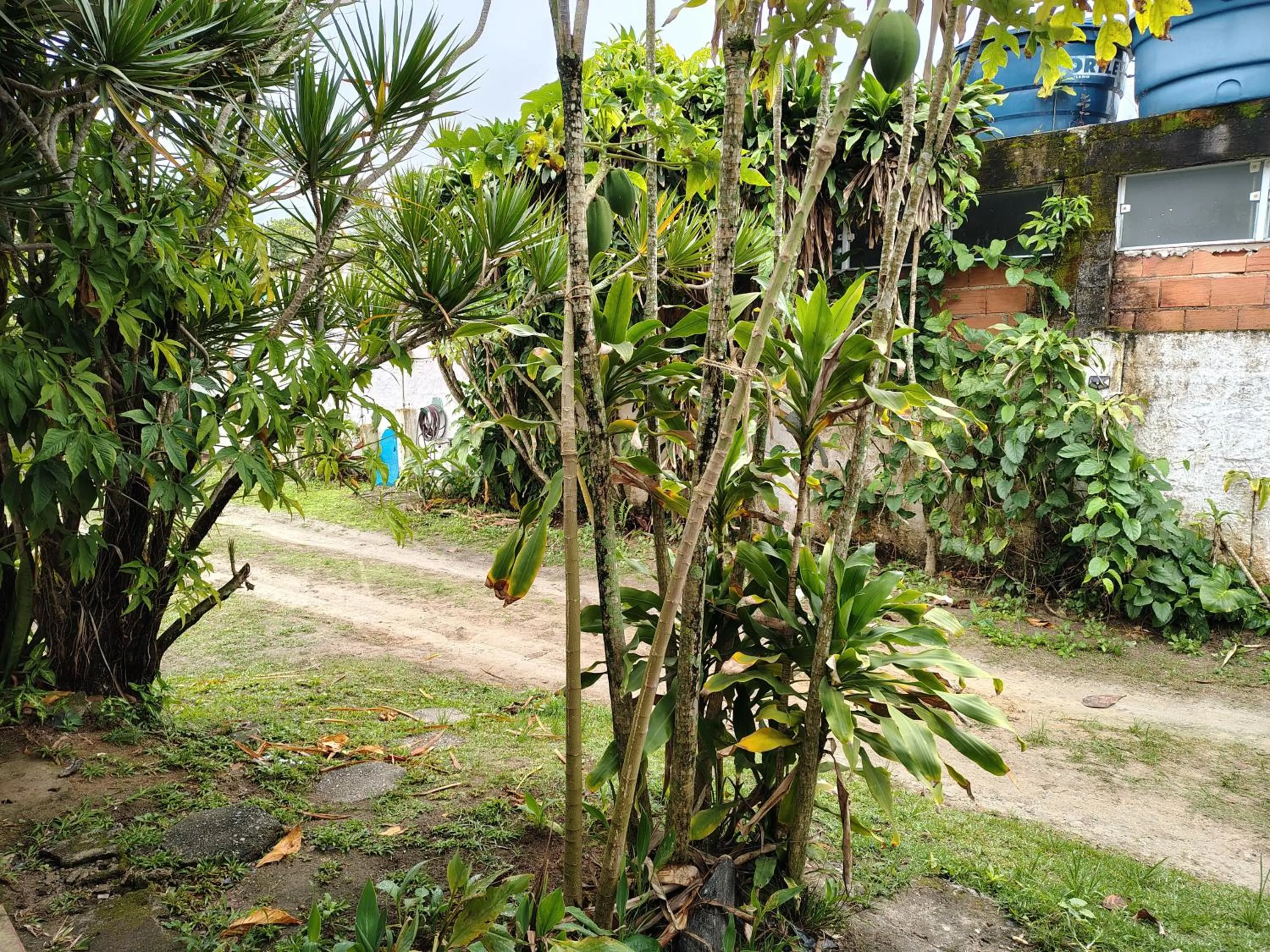 Garden view in Pousada Lambaris Pereque Guarujá
