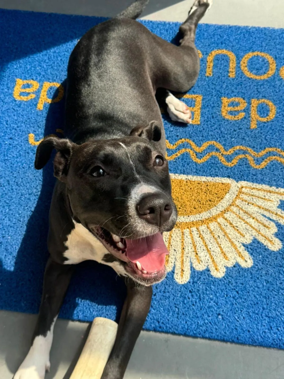 Pousada Sol da Enseada Guarujá Inn - Piscina Aquecida