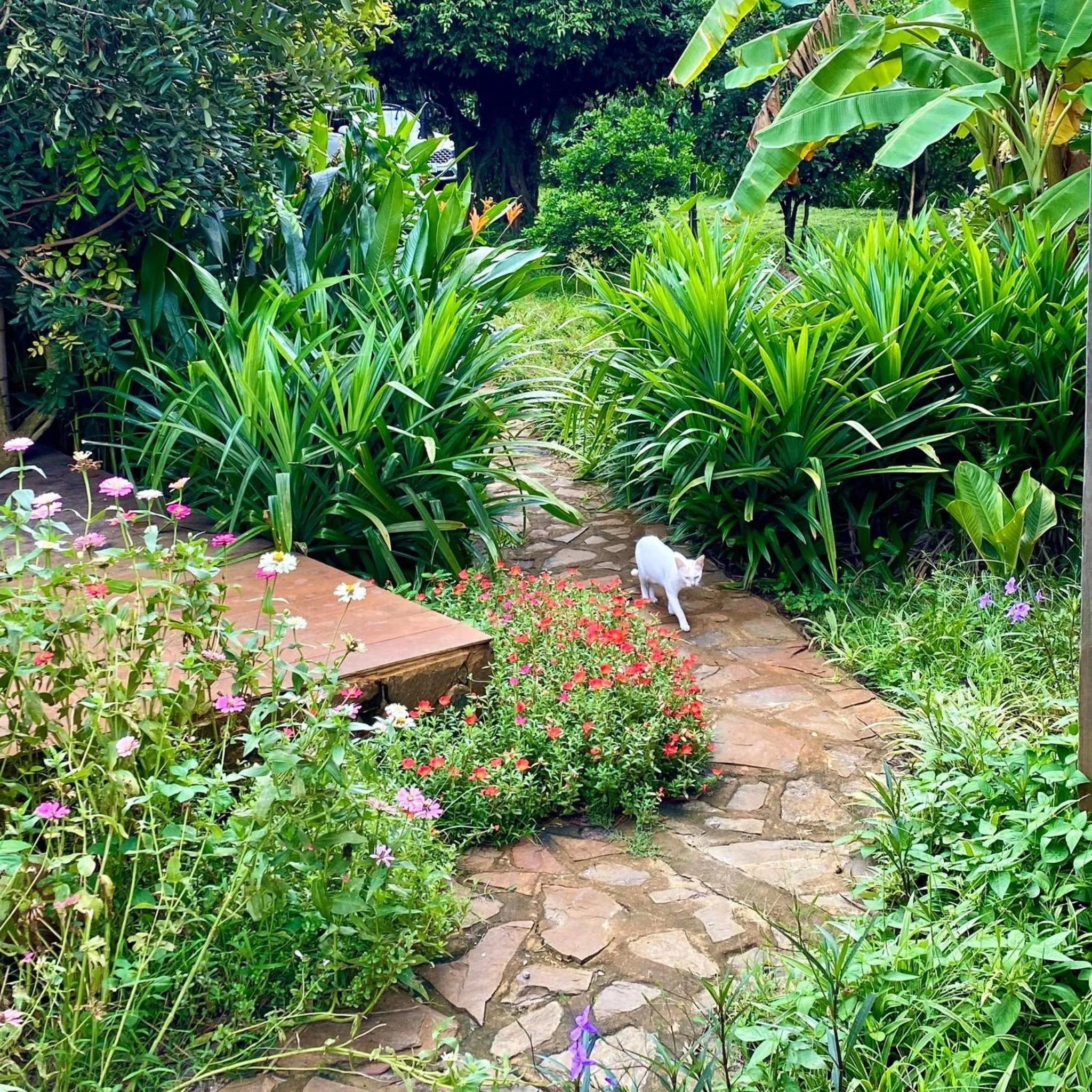 Garden view in The Ruong Resort