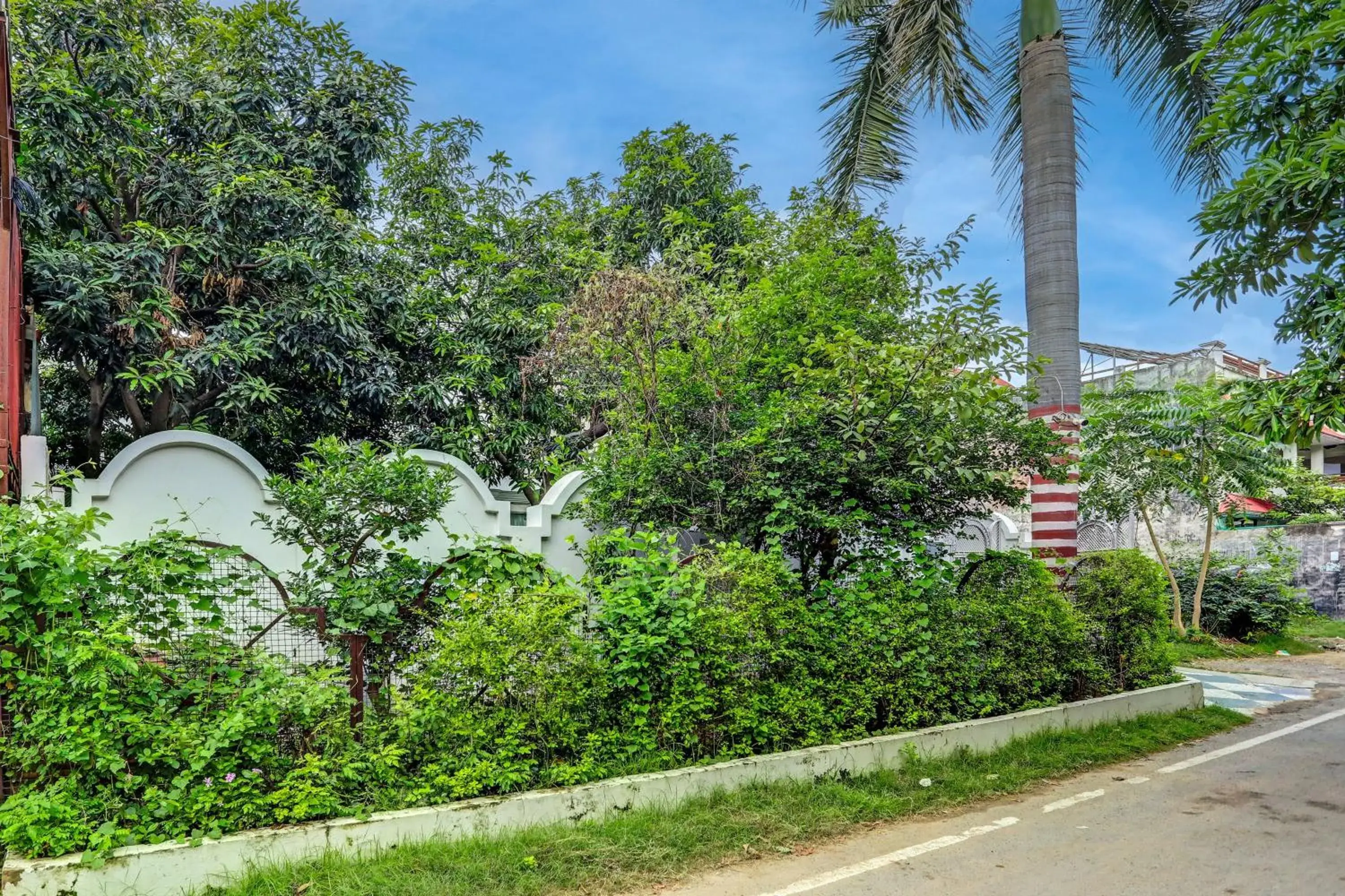 Facade/entrance, Garden in OYO Flagship Rathour Palace Facade/entrance, Garden in OYO Flagship Rathour Palace