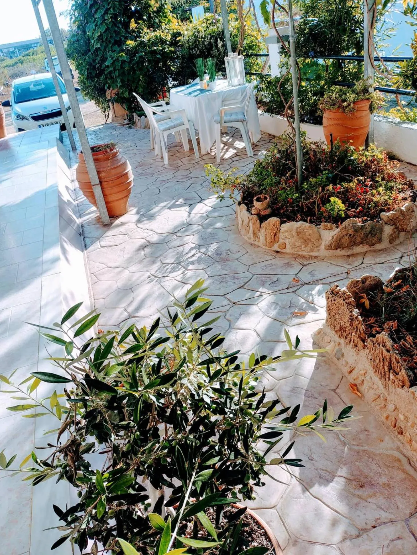 Garden in Villa Dream Garden