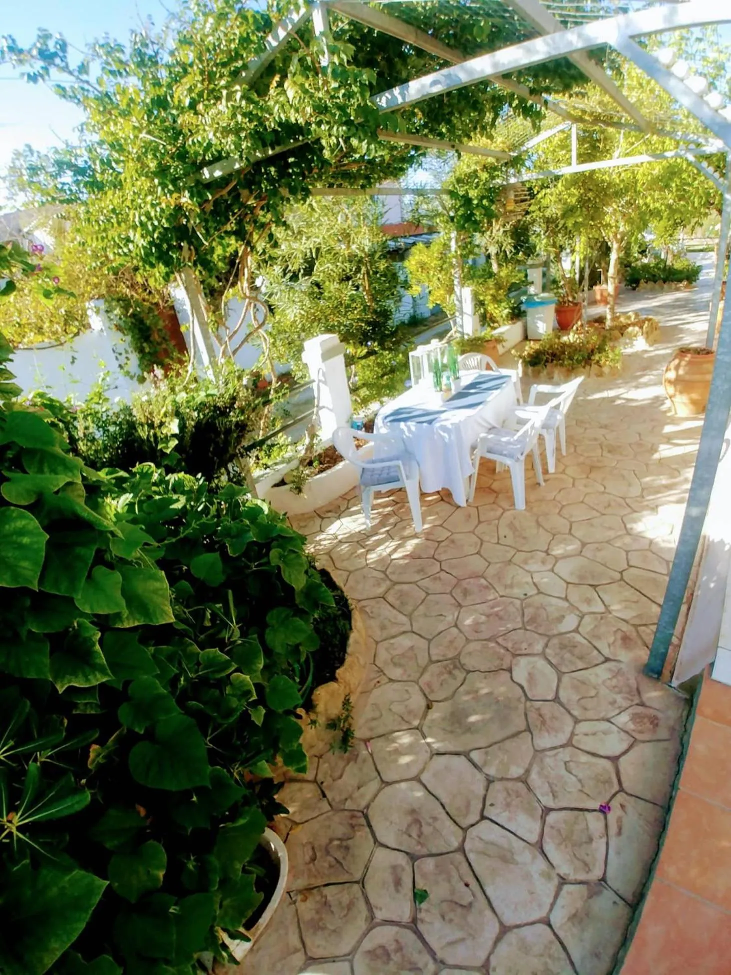 Patio in Villa Dream Garden