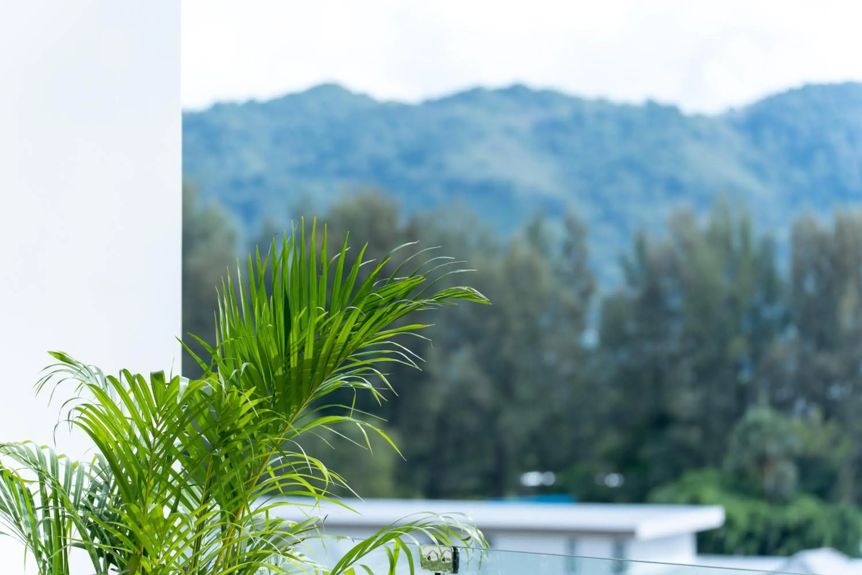 Restaurant/places to eat in Sole Mio Boutique Hotel and Wellness - Adults Only Restaurant/places to eat in Sole Mio Boutique Hotel and Wellness - Adults Only