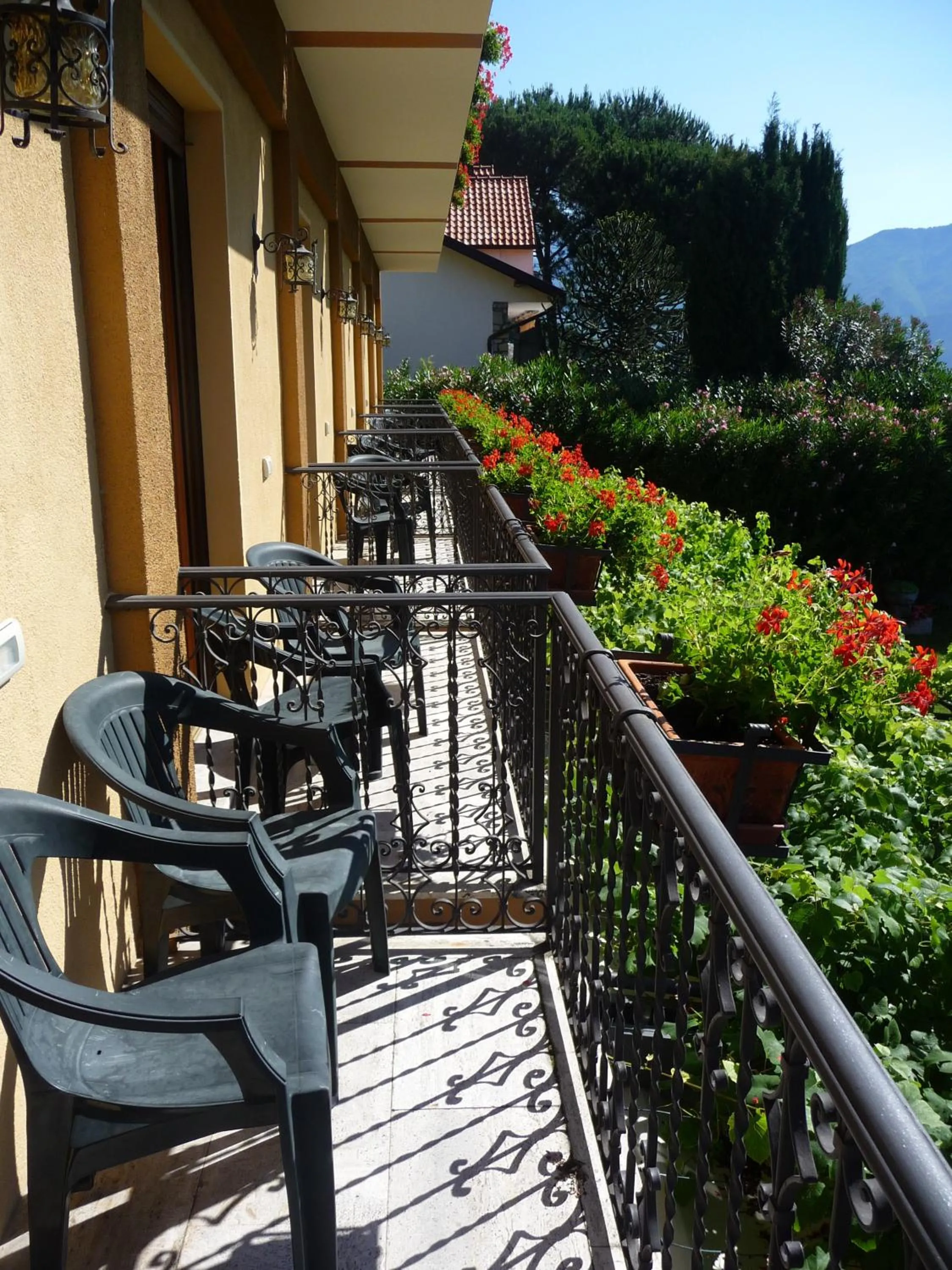 Balcony/Terrace in Albergo Rusall