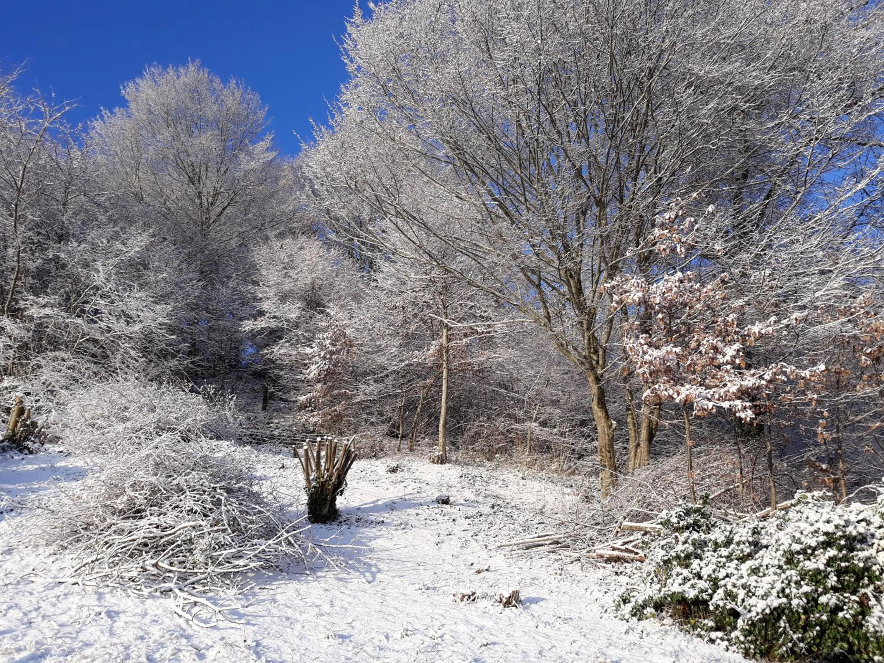 Day in Le Parc des 4 Saisons