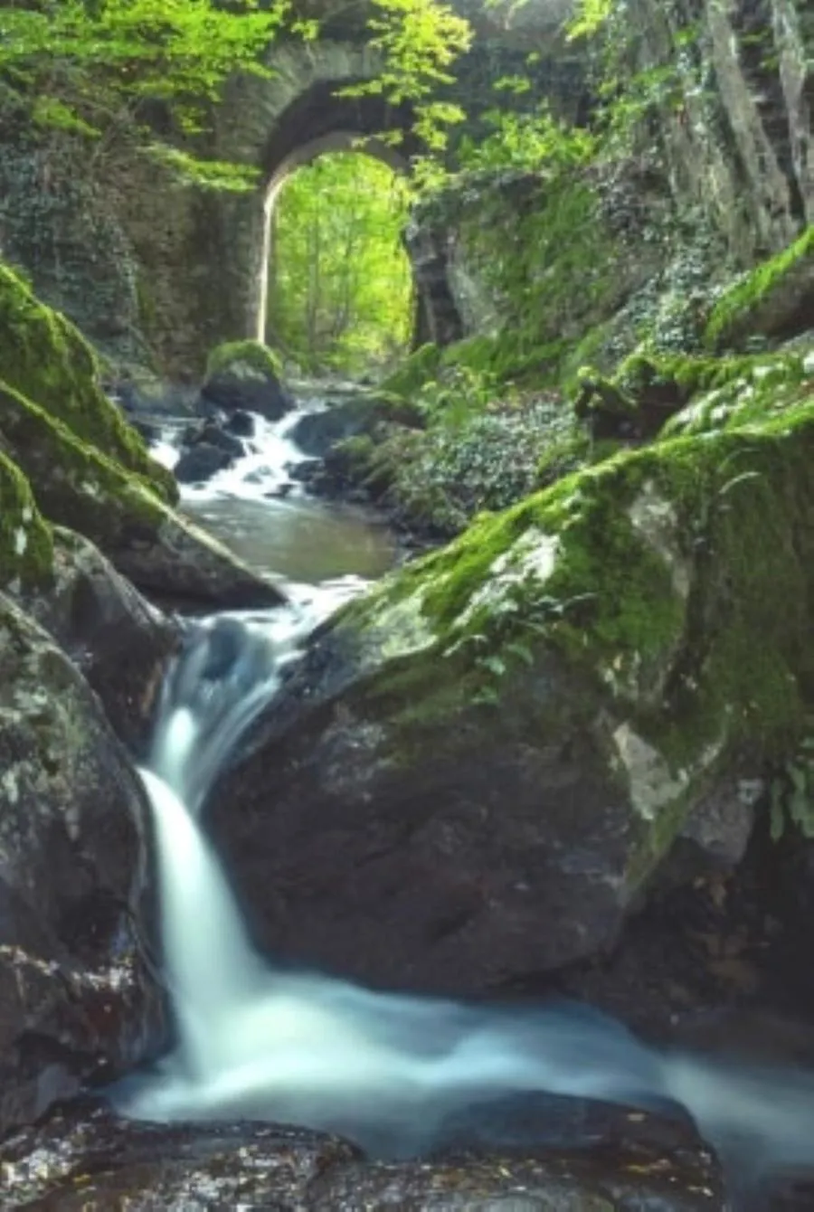 Fishing in Le Parc des 4 Saisons