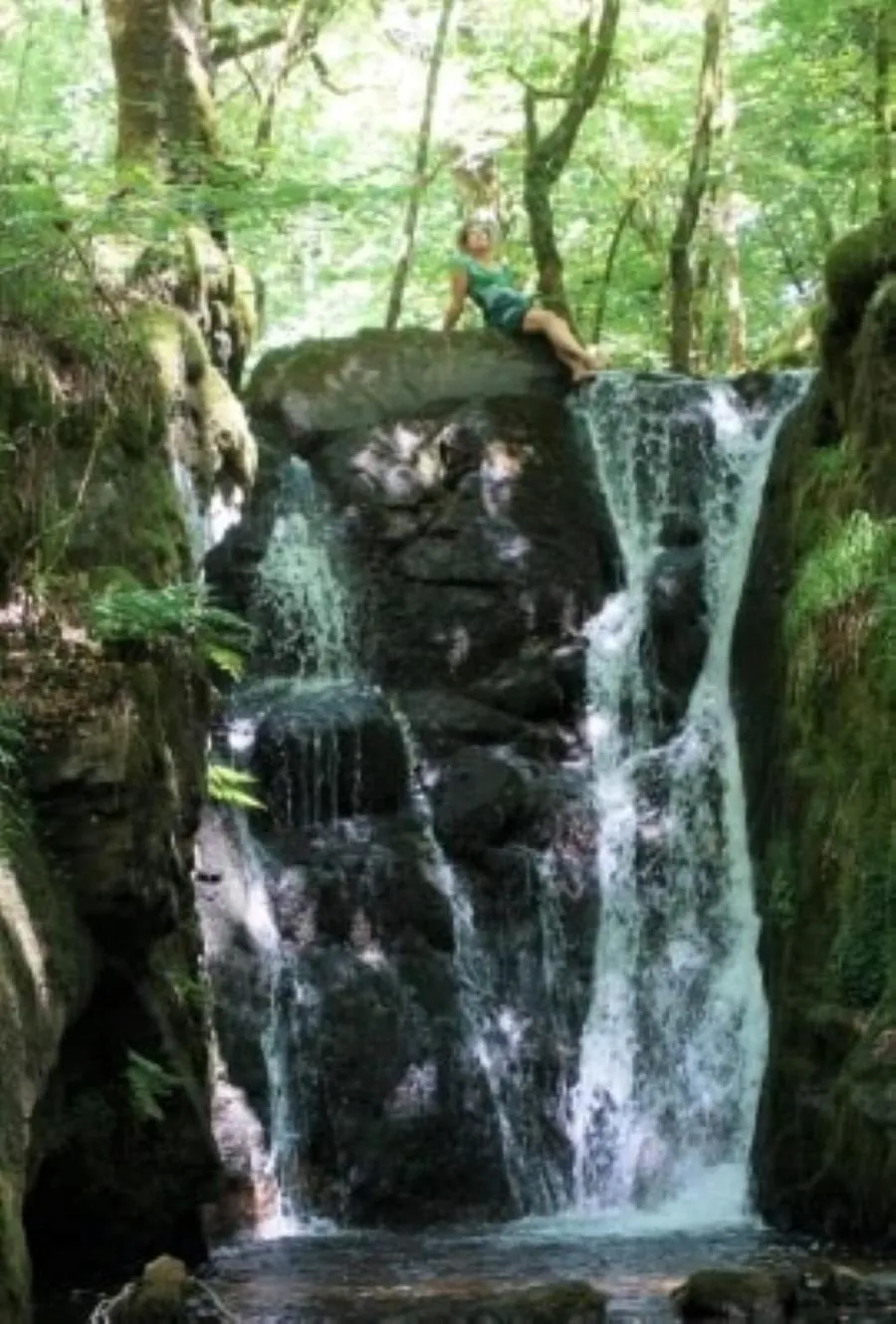 Nearby landmark in Le Parc des 4 Saisons