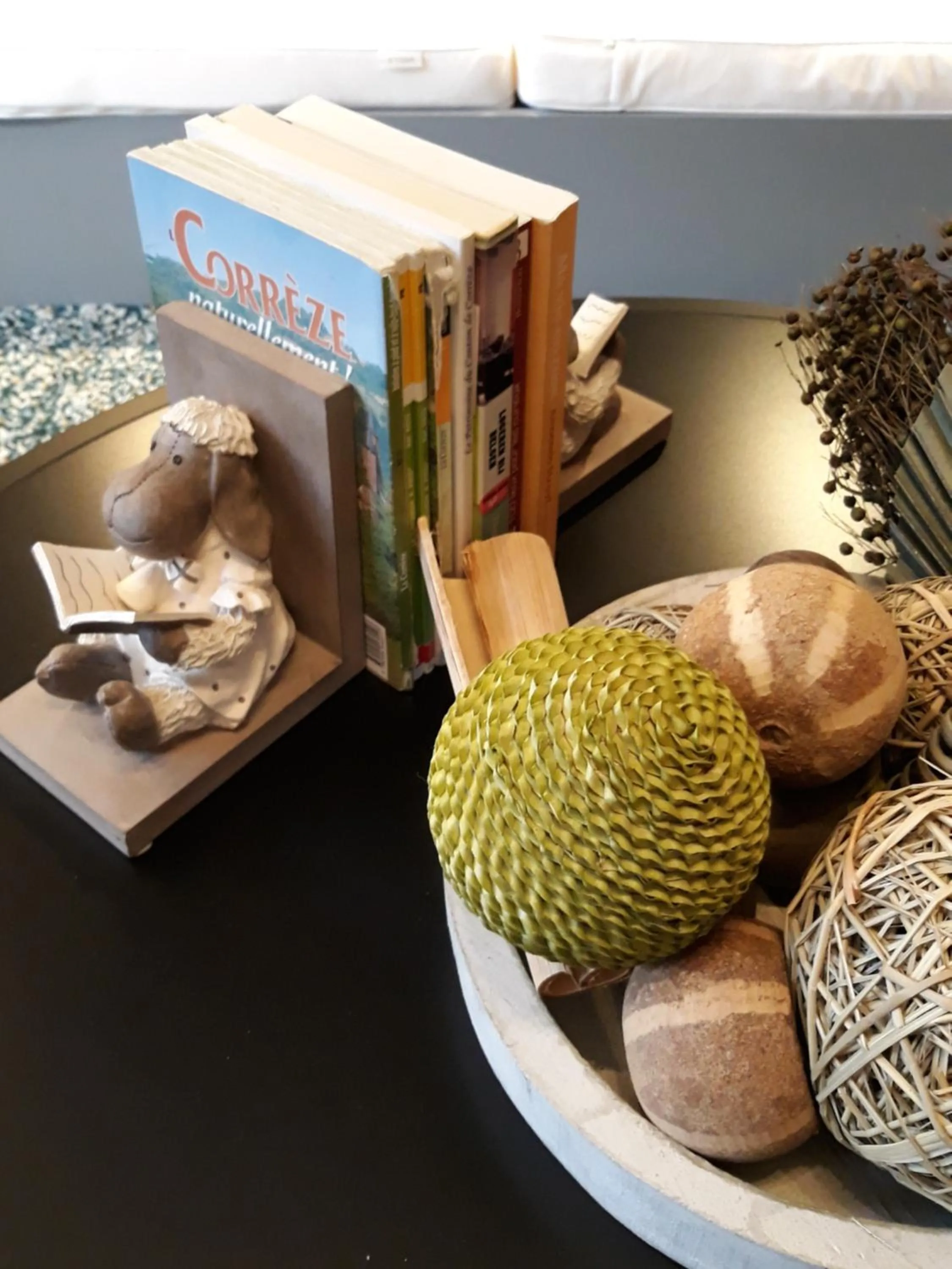 Library in Le Parc des 4 Saisons