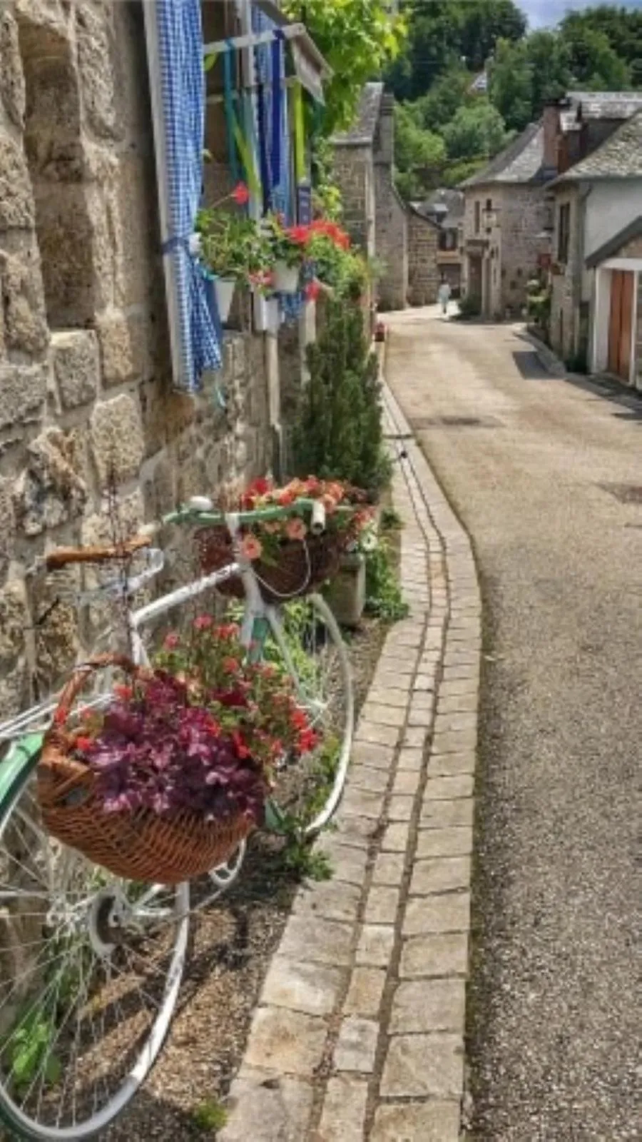 Neighbourhood in Le Parc des 4 Saisons