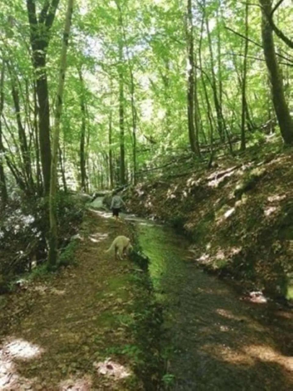 Natural landscape in Le Parc des 4 Saisons