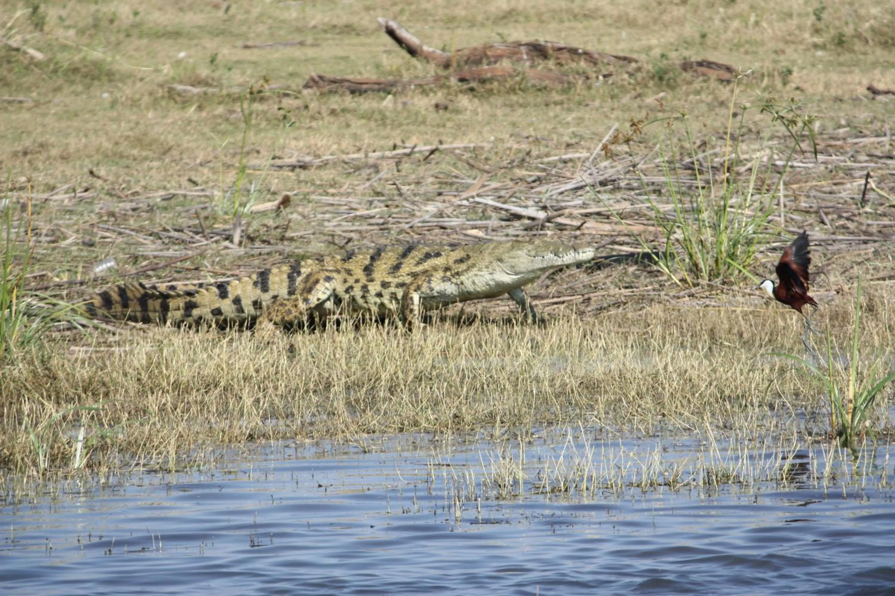 Natural landscape in Elephant Lake Hotel