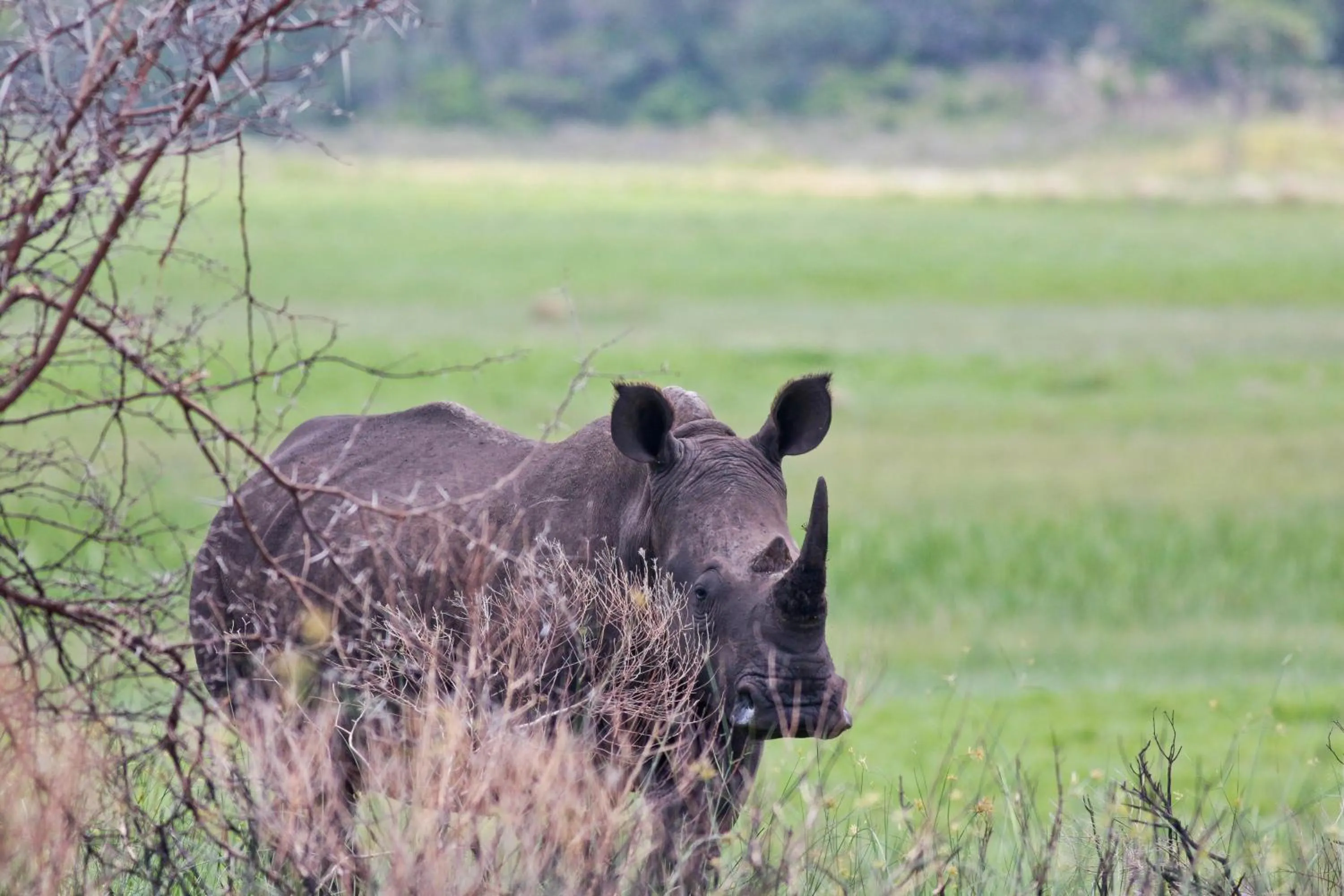 Off site in Elephant Lake Hotel