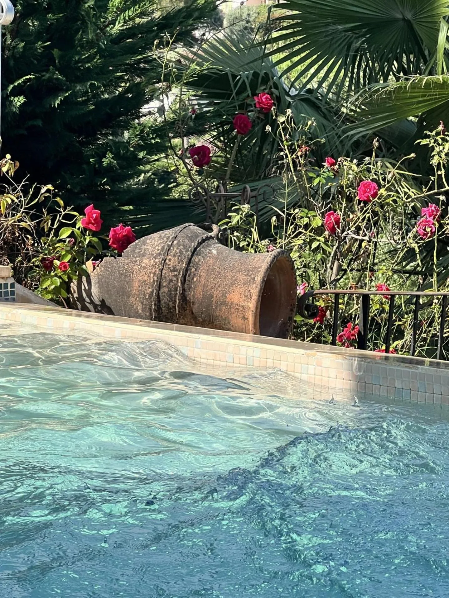 Le Mas des Amandiers