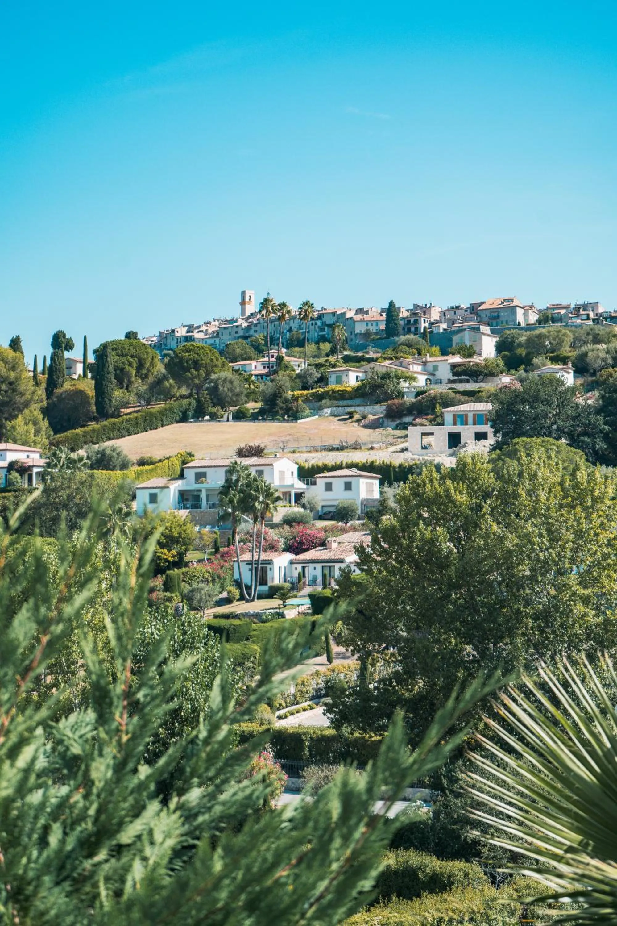 Le Mas des Amandiers