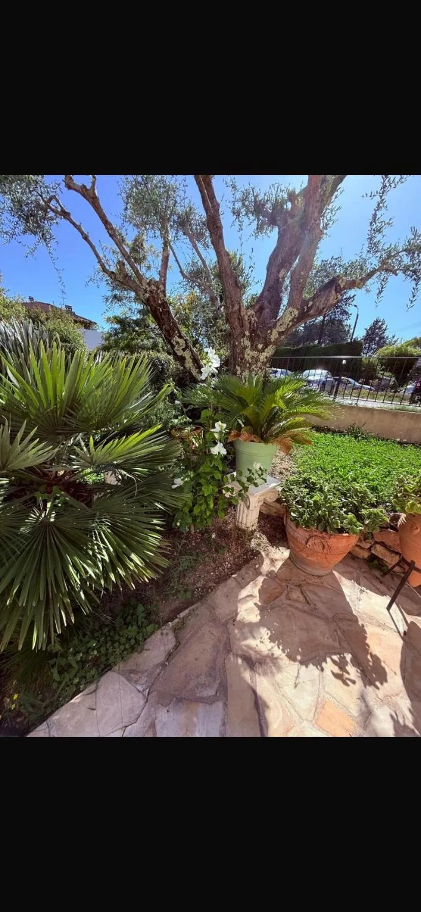 Le Mas des Amandiers